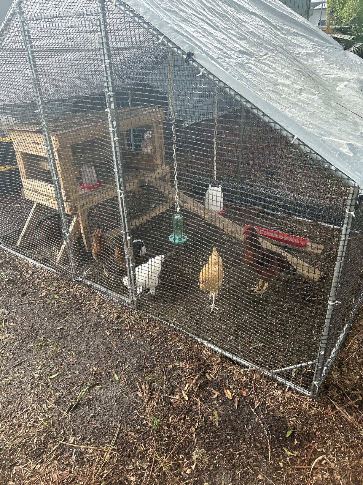 Large Walk-in Chicken Coop with Chicken Run, Galvanized Poultry Enclosure with Waterproof Anti-UV Cover and Security Lock, Ideal for Rabbit, Duck, Backyard and Farm Yard，9.8'x 6.6'x 6.6' customer photo 2