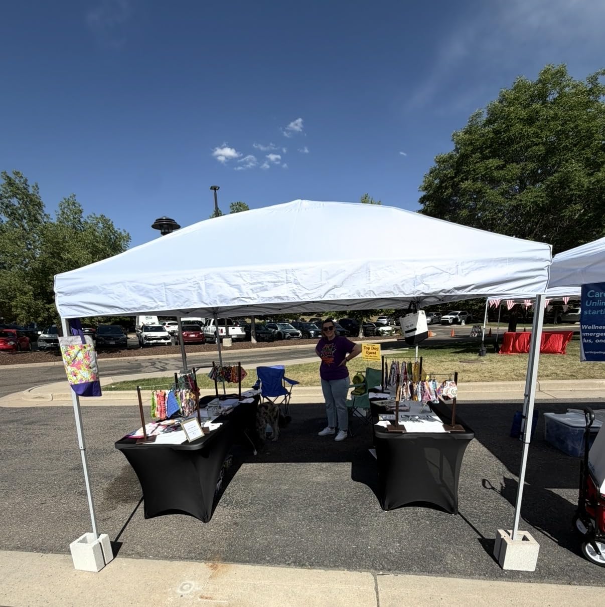 10x10 Pop Up Canopy, Portable Instant Canopy Tent with Carry Bag, 4 Sandbags and 8 Stakes for Outdoor Events, Parties & Camping - White customer photo 1