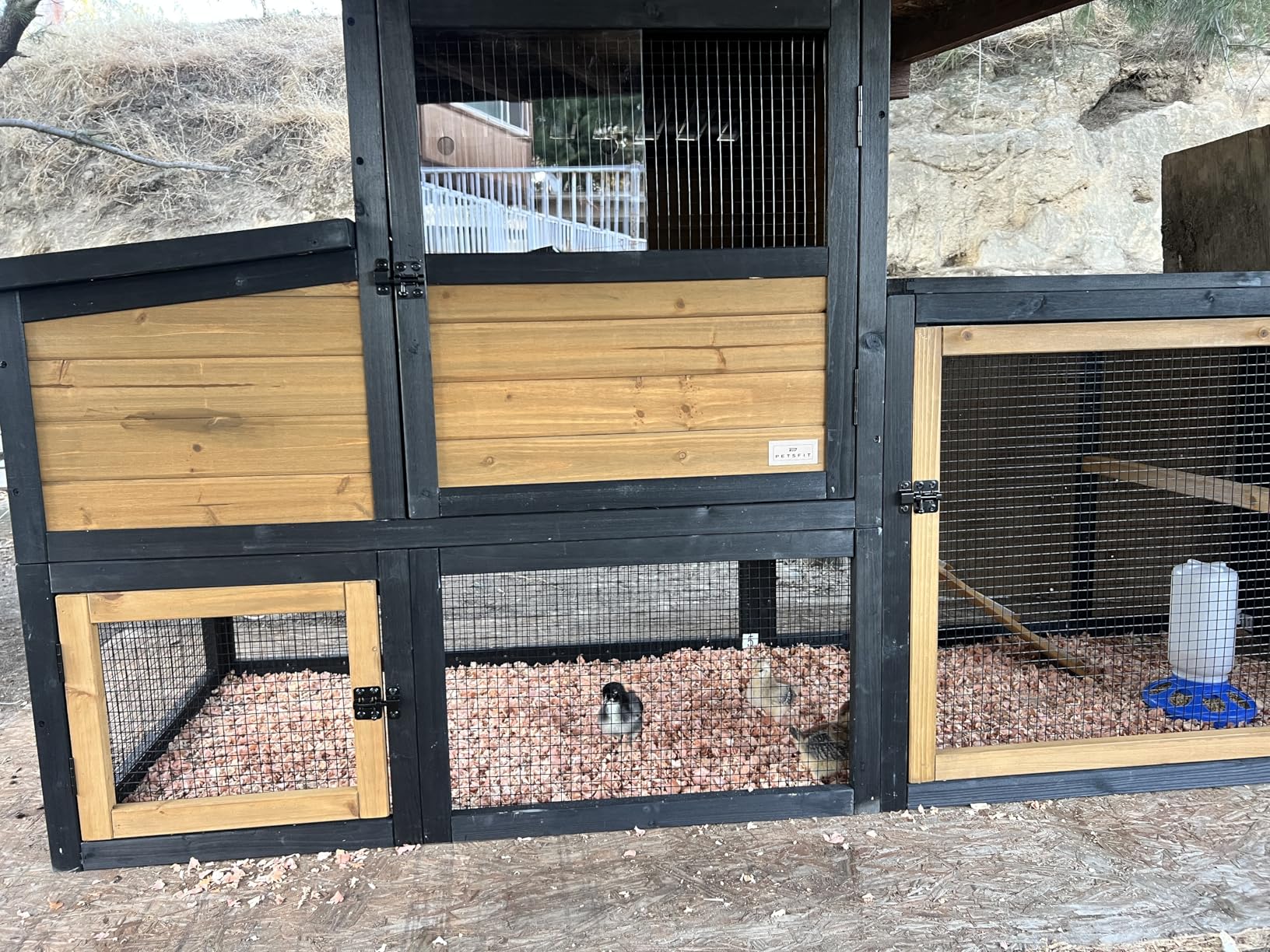 Petsfit Wooden Chicken Coop with 71
