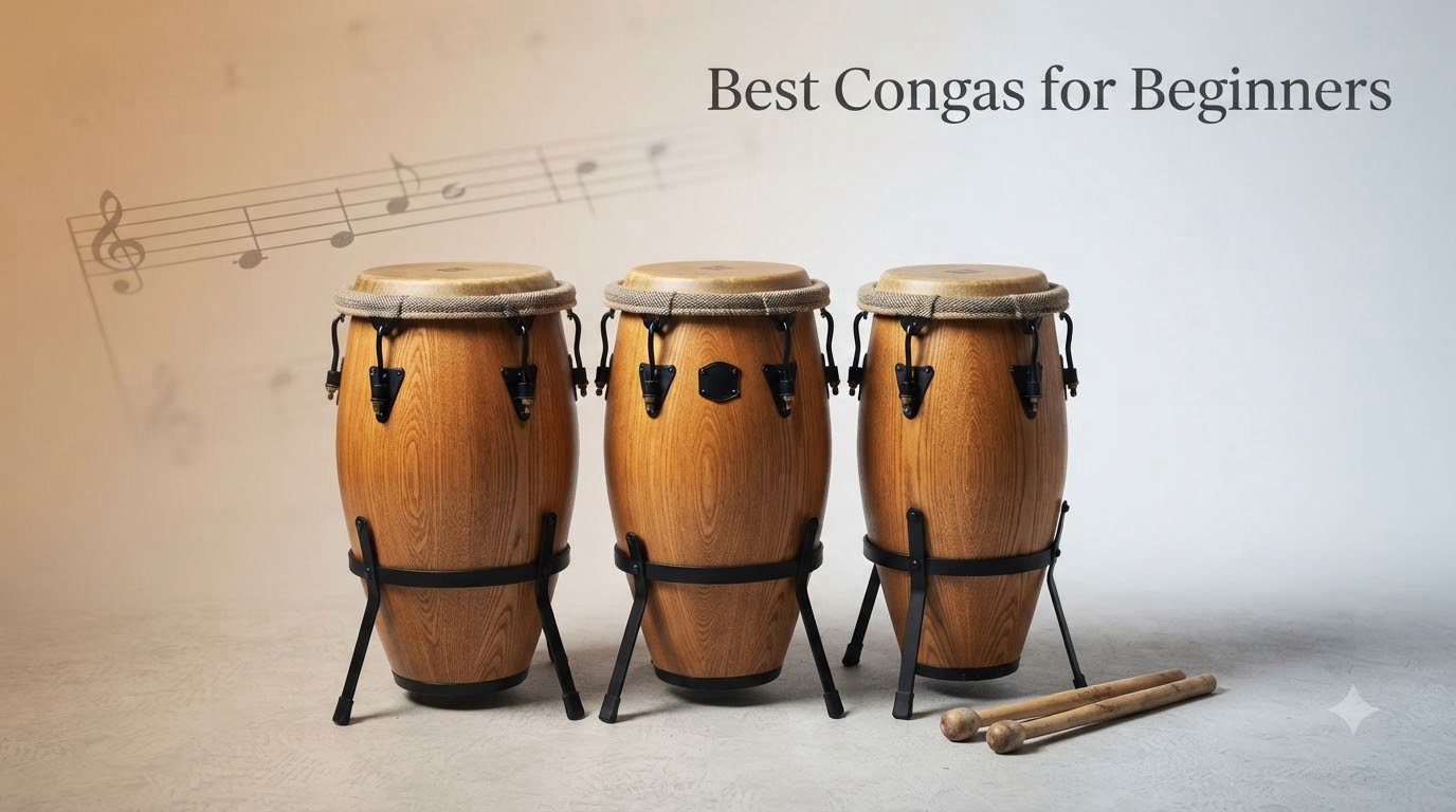Best Congas for Beginners