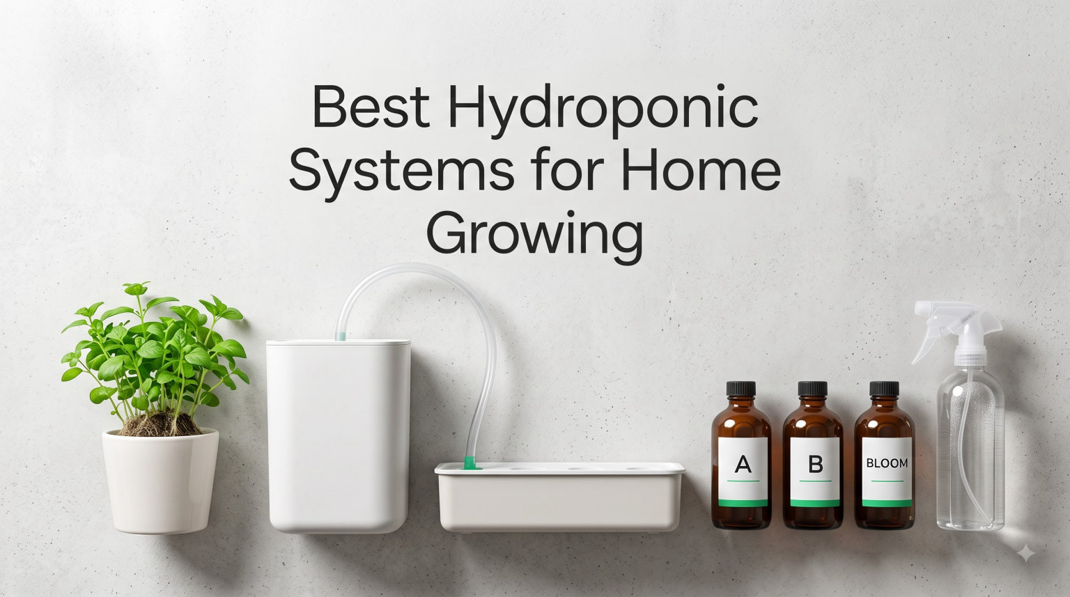 Best Hydroponic Systems for Home Growing