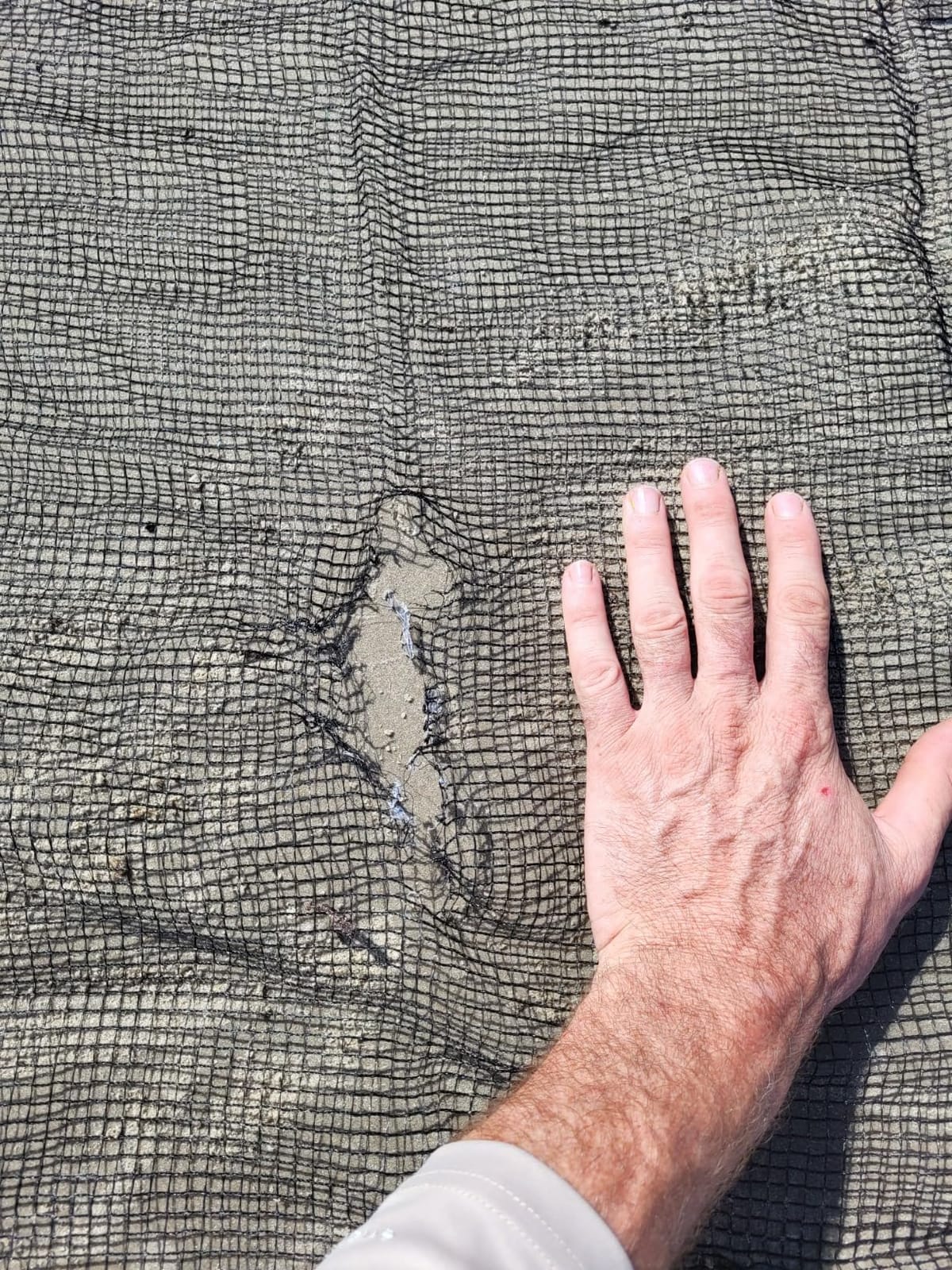 Frabill Seine Net | Top-Performance Seine Nets customer photo 1