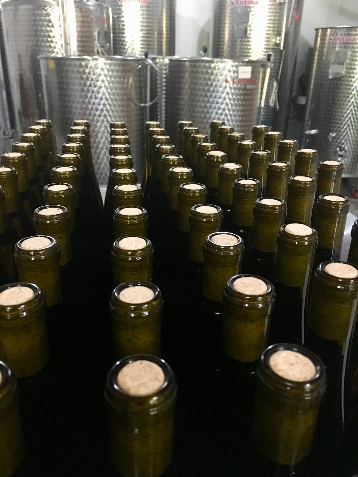 Italian Floor Wine Corker for Bottling, Adjustable Plunger and Grip Handle customer photo 1