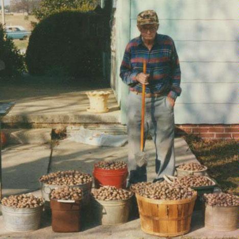 Griffith Gatherer. Walnut and Hazelnut Picker Upper. Pecan Roller customer photo 1