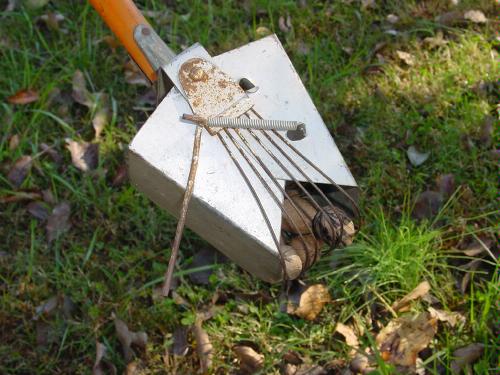 Griffith Gatherer. Walnut and Hazelnut Picker Upper. Pecan Roller customer photo 2
