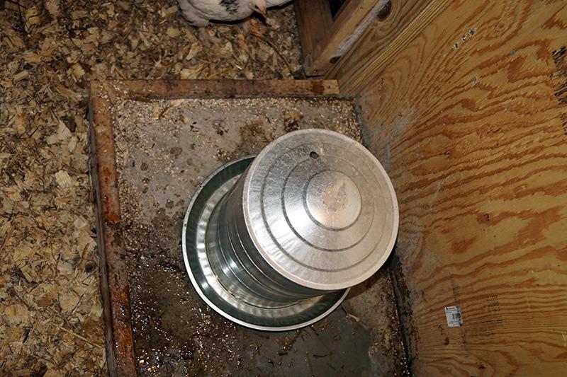 Little Giant Double Wall Metal Poultry Fount | Poultry Waterer | Heavy Duty Galvanized Steel Waterer | Made in USA (Silver, 3 Gallon) customer photo 2