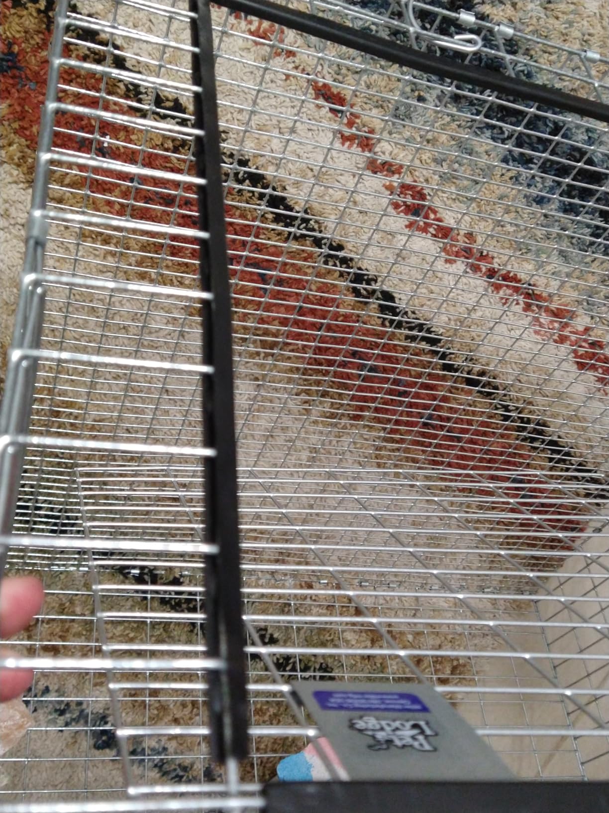 Pet Lodge® Wire Rabbit Hutch | Rust Resistant Galvanized Wire Mesh | Easy to Assemble Stackable Rabbit Cage | Made in USA | 24 X 24 customer photo 2