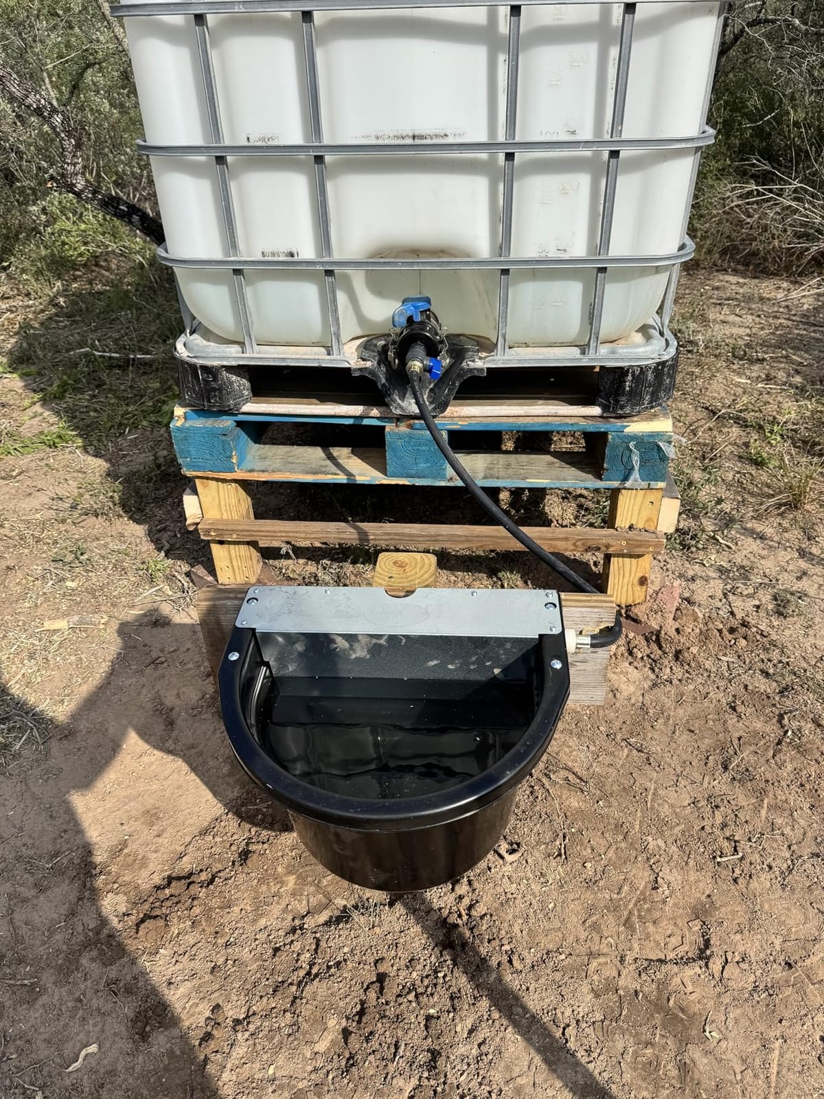 Little Giant® Automatic Animal Waterer | DuraMate Float Controlled Automatic Waterer for Livestock | Heavy Duty and Durable | Made in USA | 4 Gallon (Red, 4 Gallon) customer photo 2
