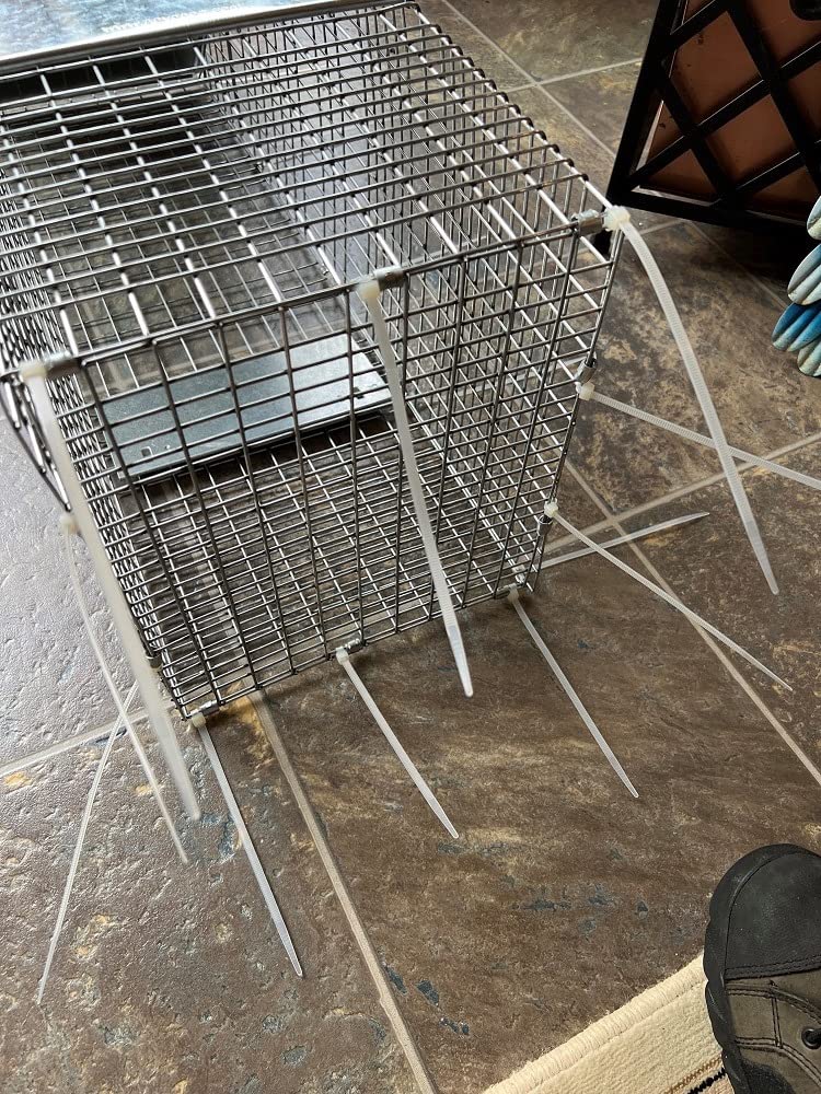 Havahart 1085 Large 1-Door Easy Set Humane Live Animal Trap for Armadillos, Cats, Groundhogs, Muskrats, Opossums, Raccoons, Skunks - Havahart Live Animal Cage Trap customer photo 2