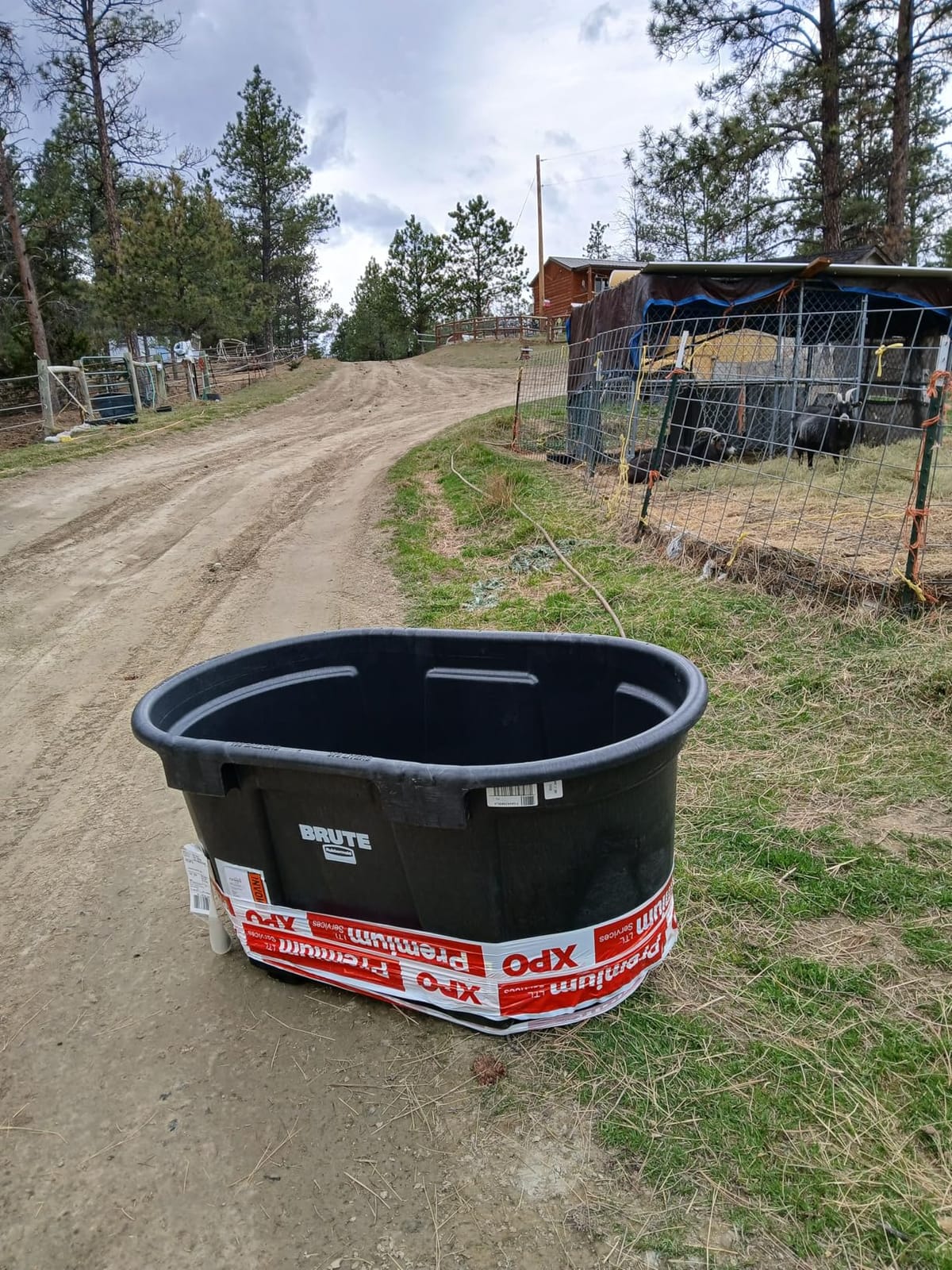 Rubbermaid Commercial Products Stock Tank, 50-Gallons, Structural Foam, Heavy Duty Container, for Livestock/Animal/Cattle Feed & Water, Outdoor Homemade Pool/Hot Tub/Bathtub, & Pet Cleaning/Dog Wash customer photo 1