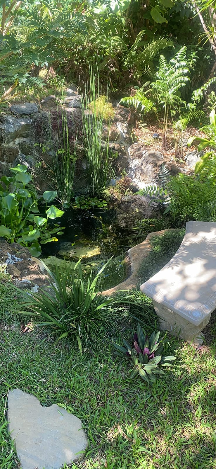 SkeeterVac SV5100 Outdoor Mosquito & Backyard Insect Trap, 1+ Acre Coverage | 1+ Acre Coverage customer photo 1