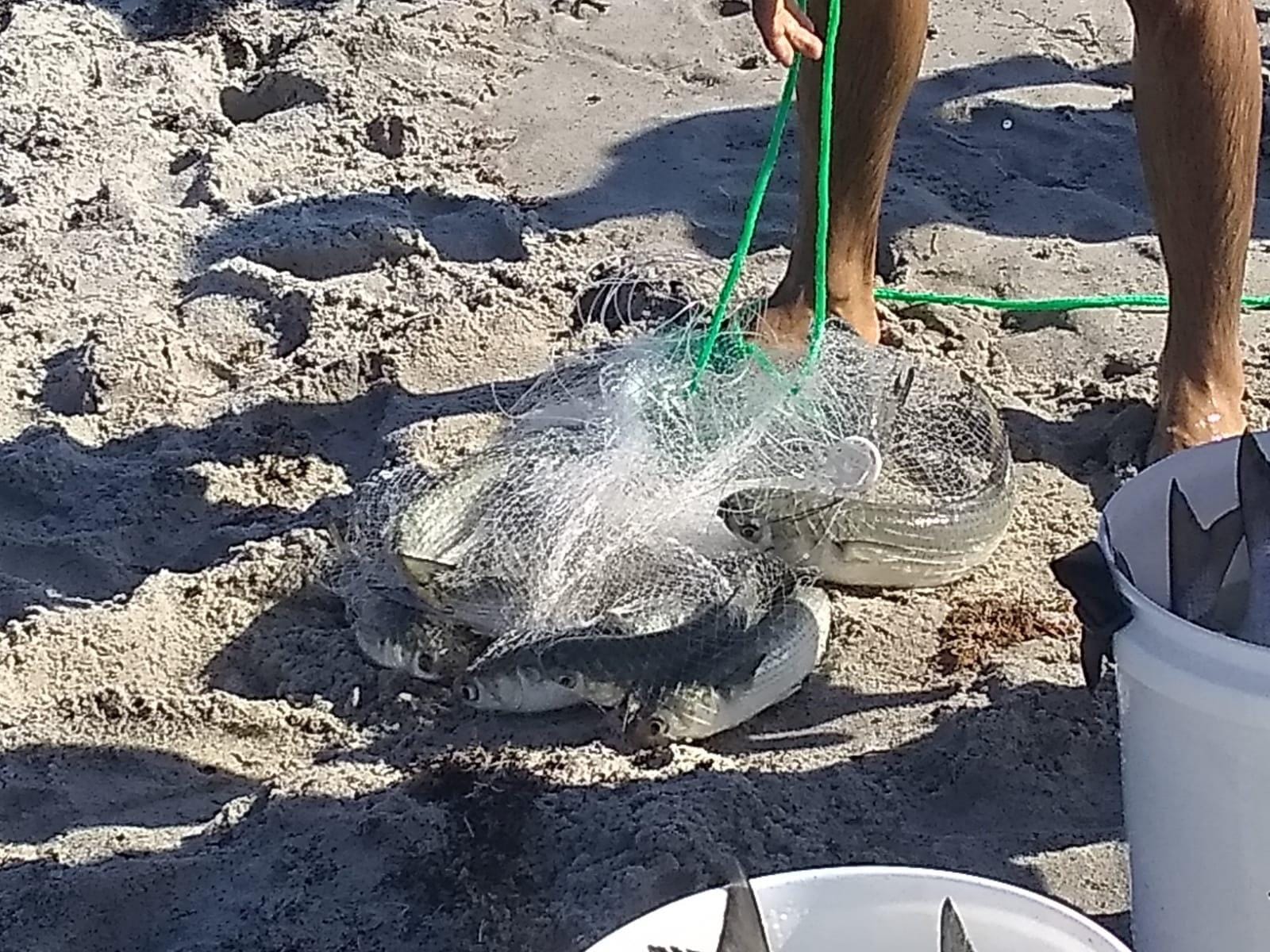 Betts Old Salt Premium Cast Net for Bait Fish with Utility Box customer photo 1