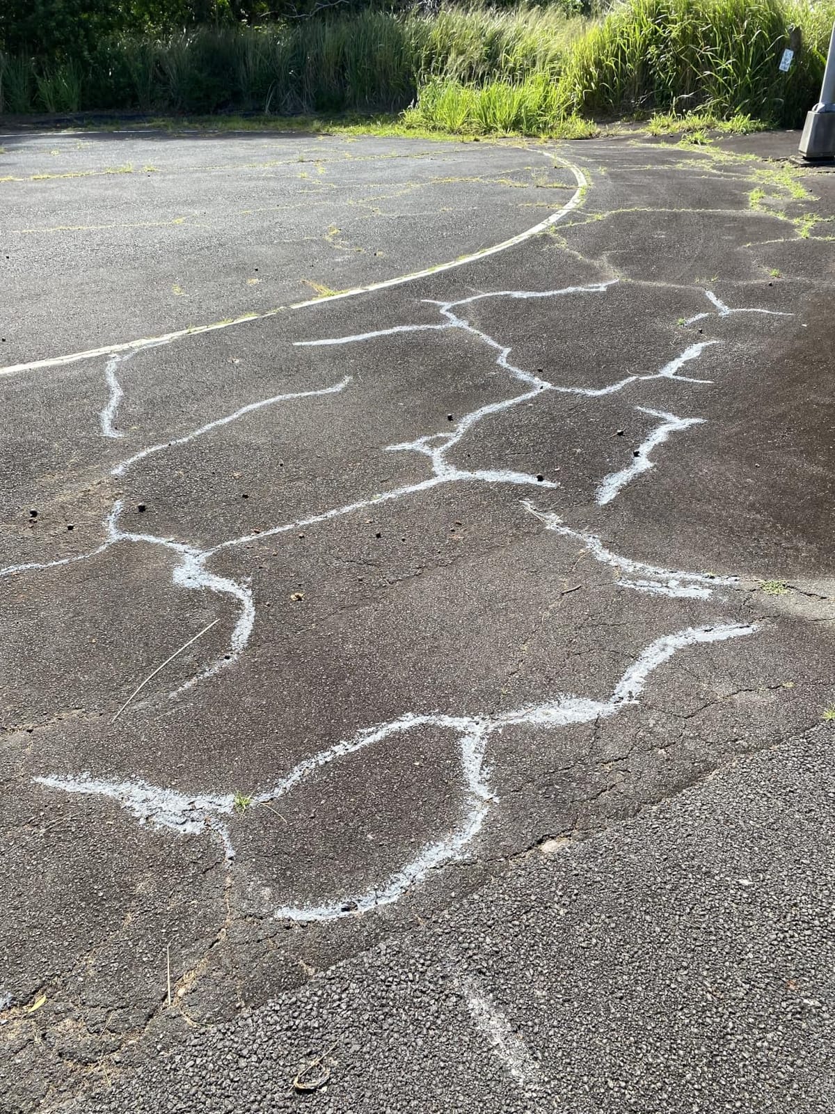 Black Jack Speed-Patch Blacktop Crack & Hole Repair - 10 lbs., Ready-to-Use Asphalt Patching Compound, Asphalt Crack Filler, Asphalt Patch customer photo 1