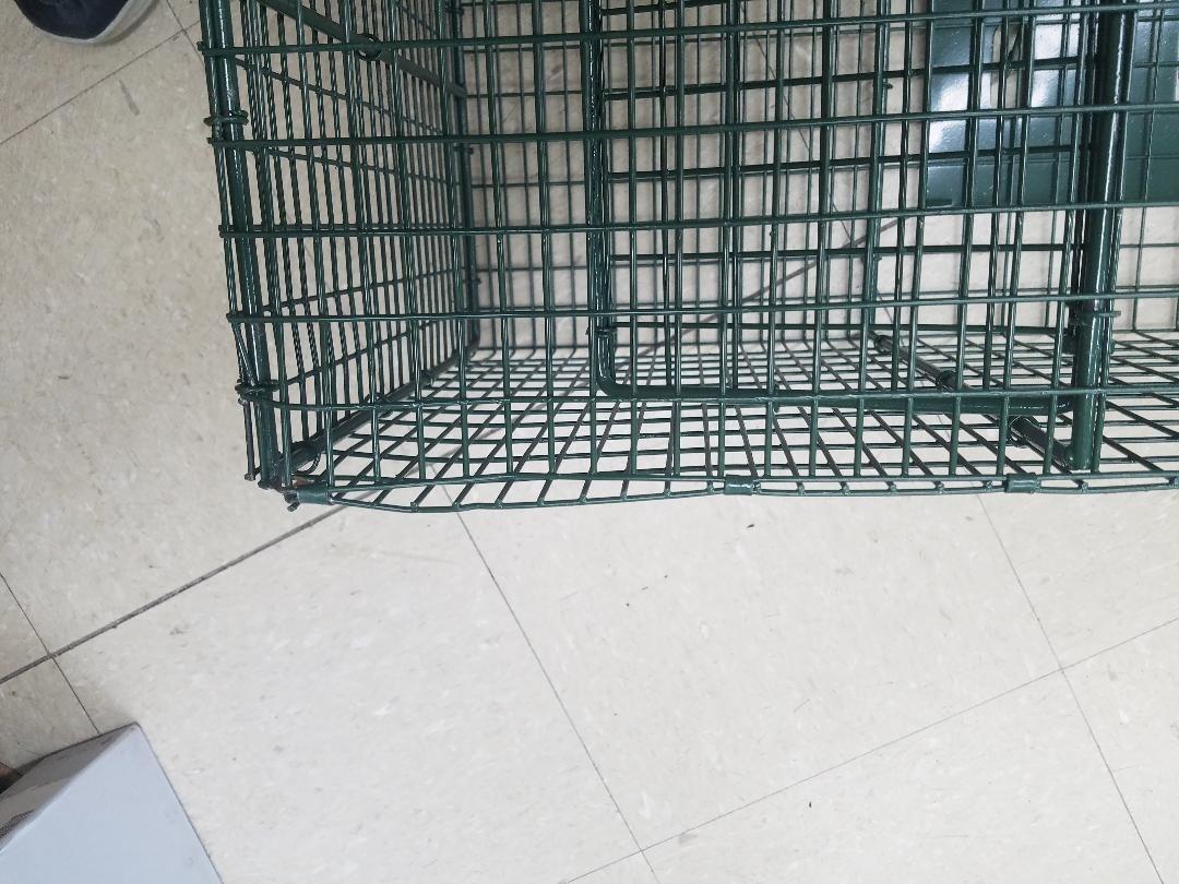 Duke Traps Heavy Duty Large Cage Trap customer photo 1