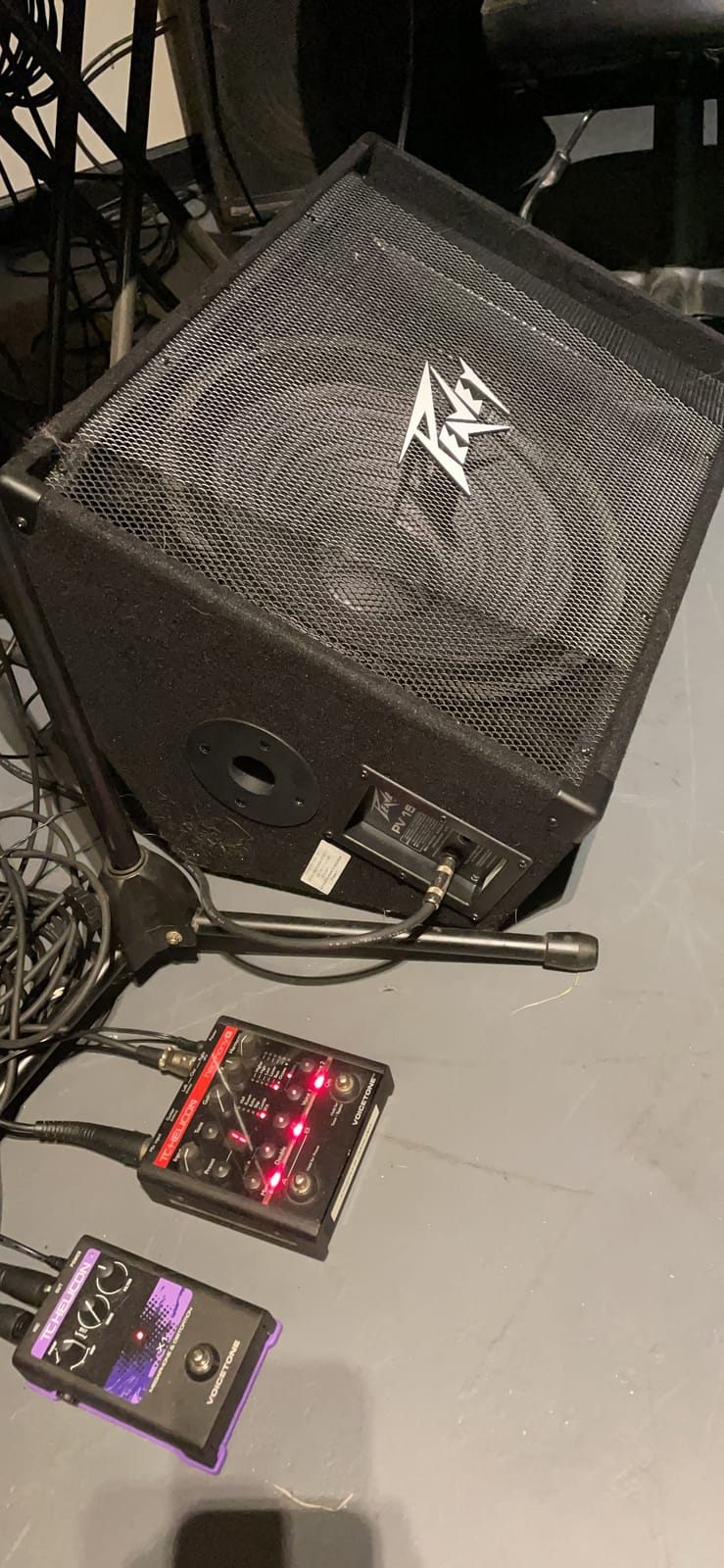 Peavey PV 12M 2-Way Floor Monitor, Sunburst, 12 Inch | Passive Live Sound Foldback for Bands and DJs, Angled Cabinet Aims Audio at Performers, Rugged Gig-Ready Build customer photo 1