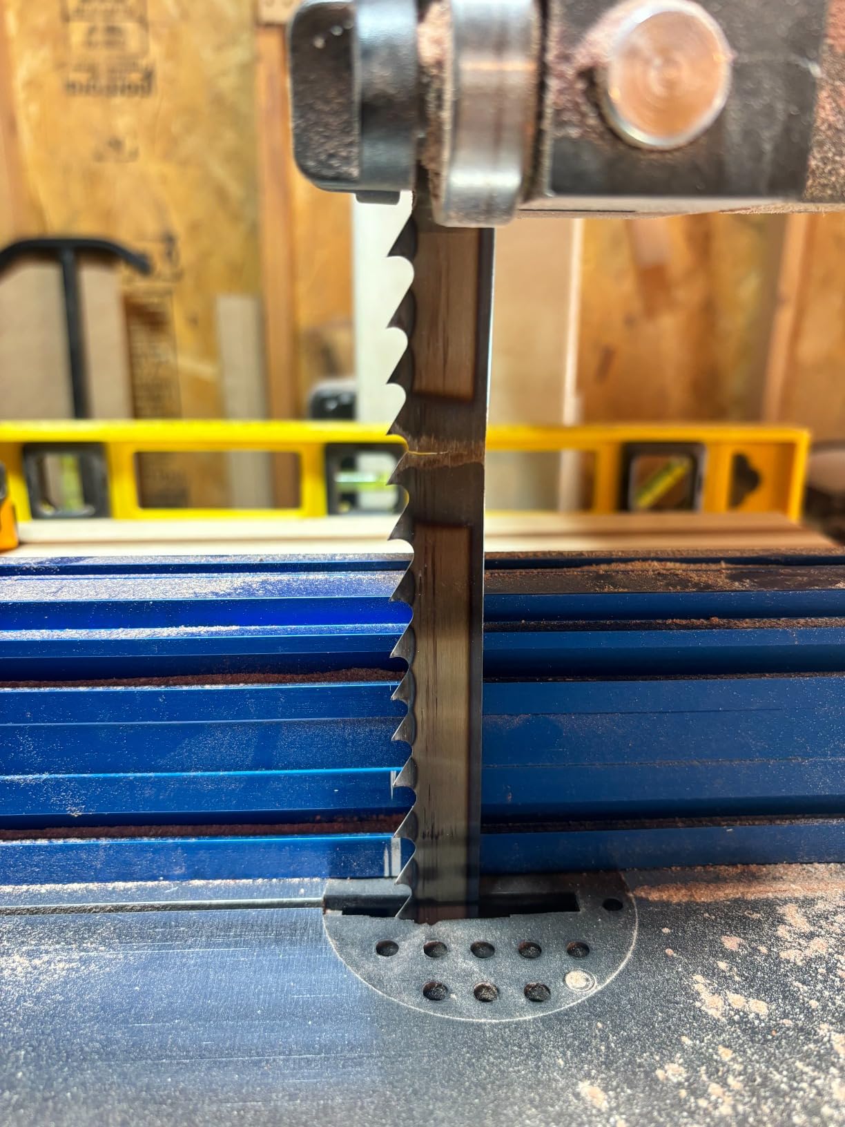 Timber Wolf Bandsaw Blade 111