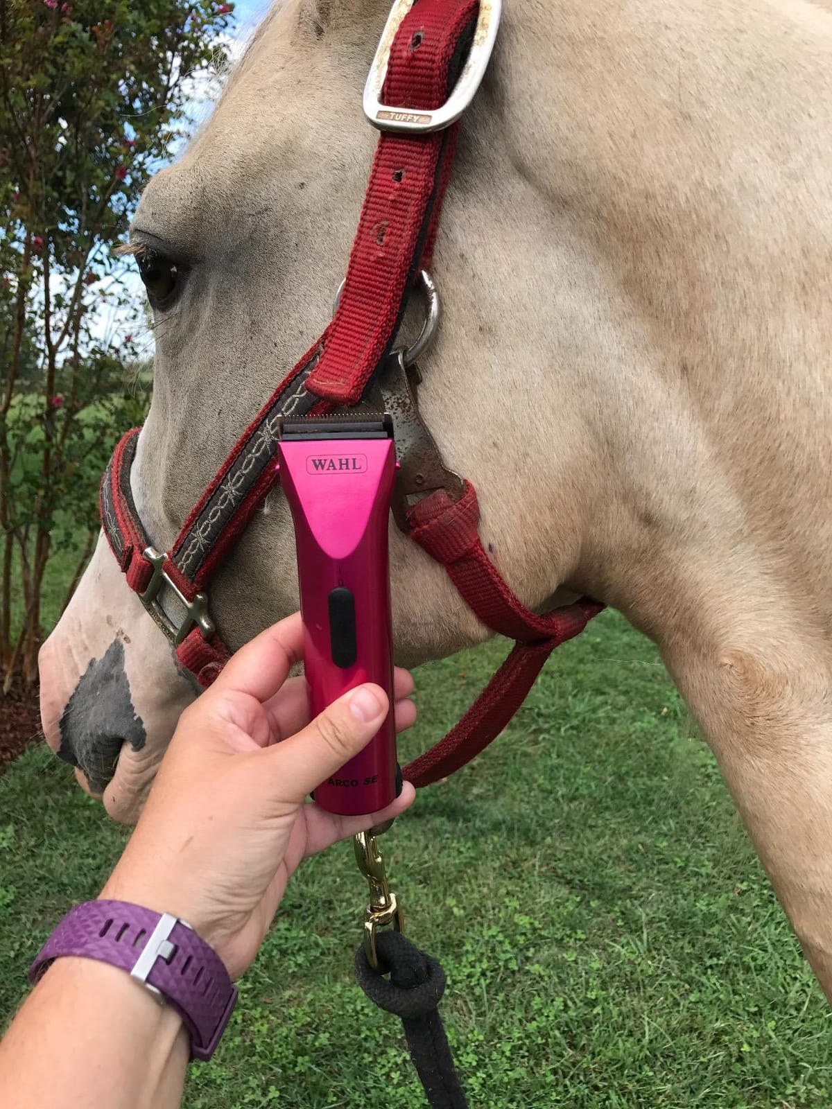 Wahl Professional Animal Arco Cordless Clipper Kit, 8786-452, Champagne customer photo 1