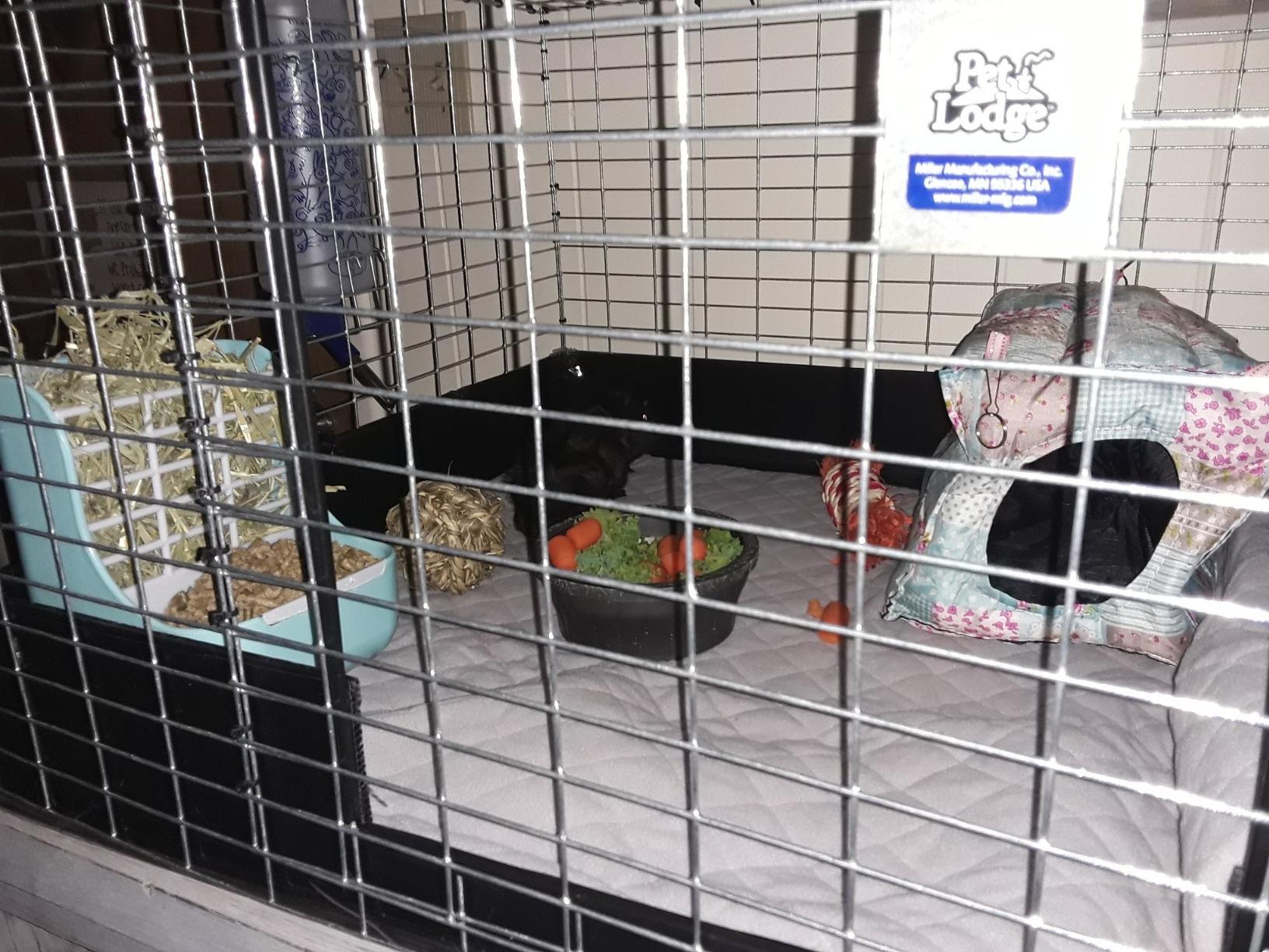 Pet Lodge Wire Rabbit Hutch | Rust Resistant Galvanized Wire Mesh | Easy to Assemble Stackable Rabbit Cage | Made in USA | 30 X 36 customer photo 1