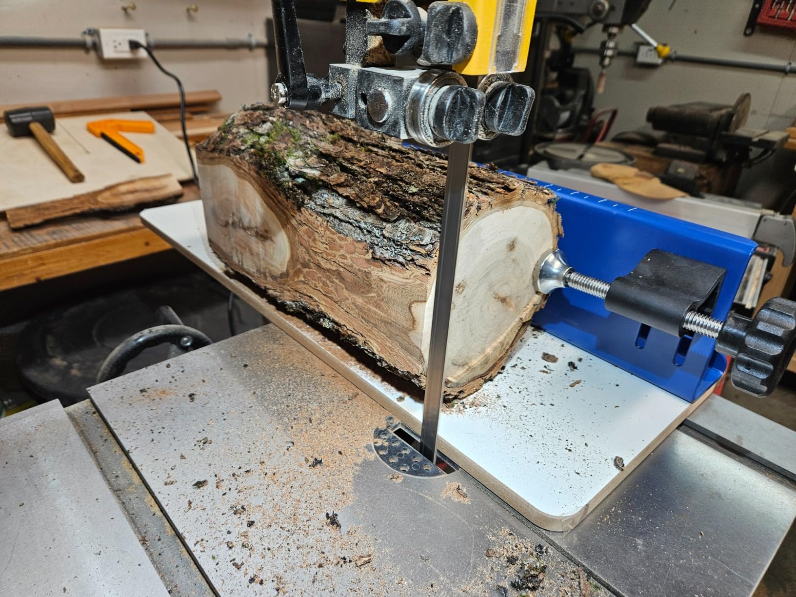 AccuRight Log Mill customer photo 2