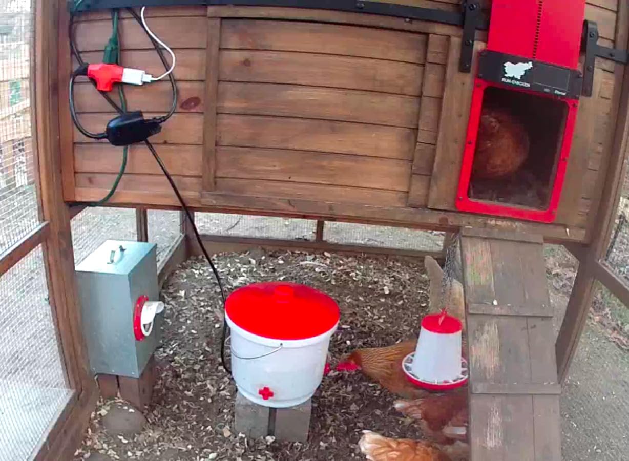 Farm Innovators HB-60P Heated Poultry Waterer Drinker, 2-Gal, 60W | Thermostatically controlled, side mounted drip-free/freeze-free nipples for up to 15 chickens customer photo 1