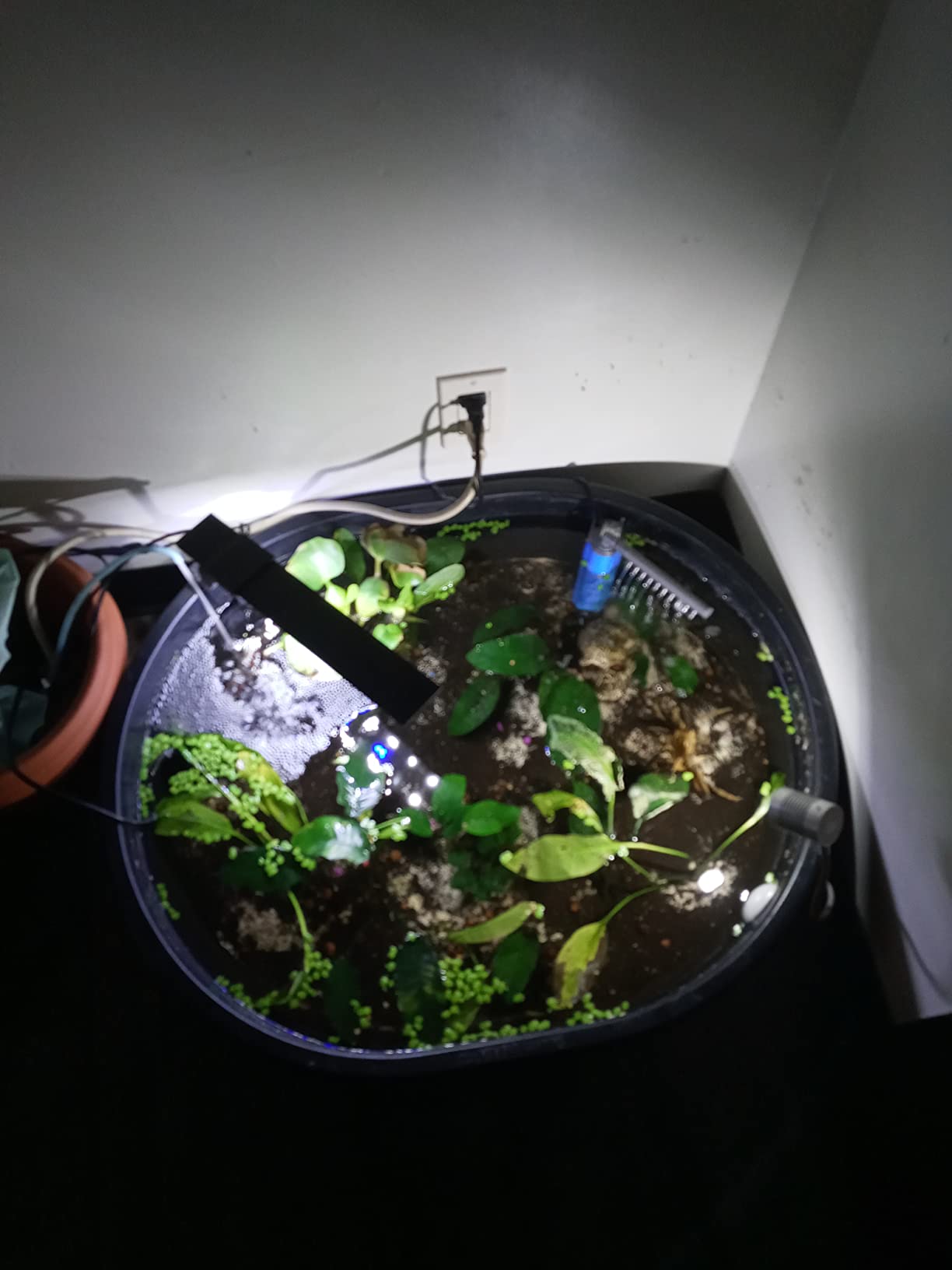 Little Giant® Poly Oval Stock Tank | Water Trough | Plastic Pond Tub | Heavy Duty Feeding & Watering Trough for Livestock | 150 Gallons customer photo 2