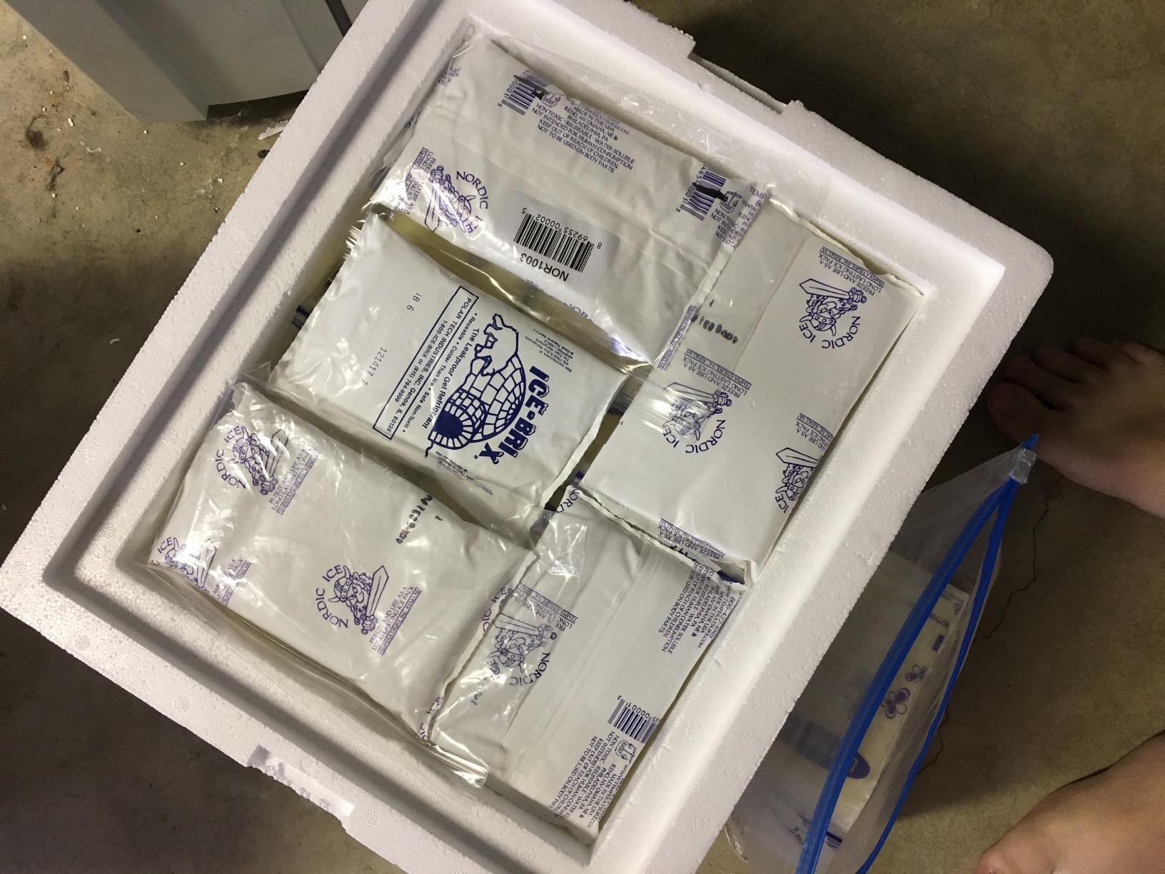 Polar Tech 227C Thermo Chill Insulated Carton with Foam Shipper, Medium, 15.5