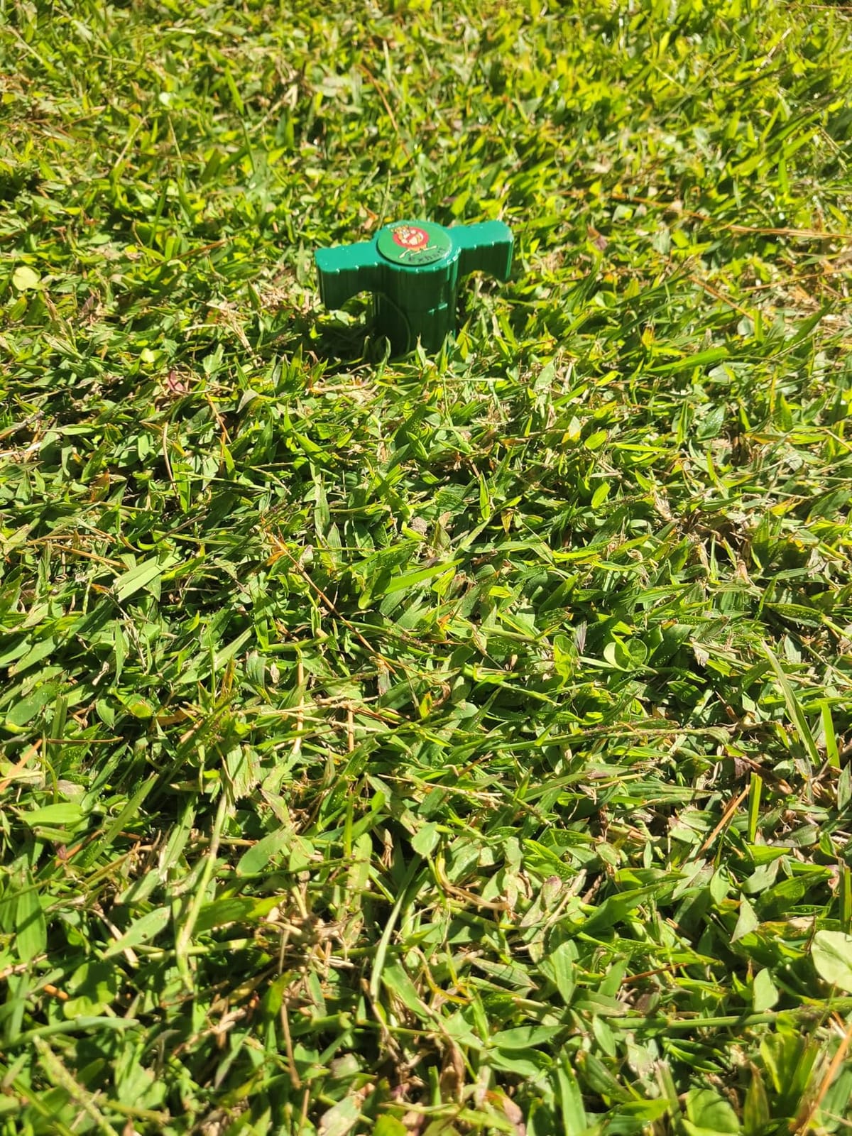 Bonide MoleMax Mole & Gopher Repeller Battery-Powered Sonic Spike | Animal Repellent Stake with Chatter Sound Technology customer photo 2
