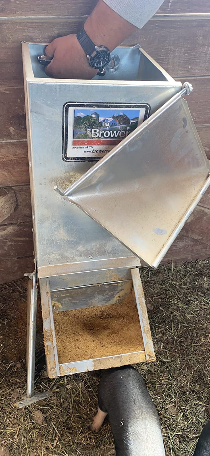 Brower 11H Single Door Automatic Easy Hog Feeder for Supplemental Feeding, 4 Week Old Piglets to Adult Sows, Farm Accessory, 1.5 Bushel or 50 Pounds customer photo 2