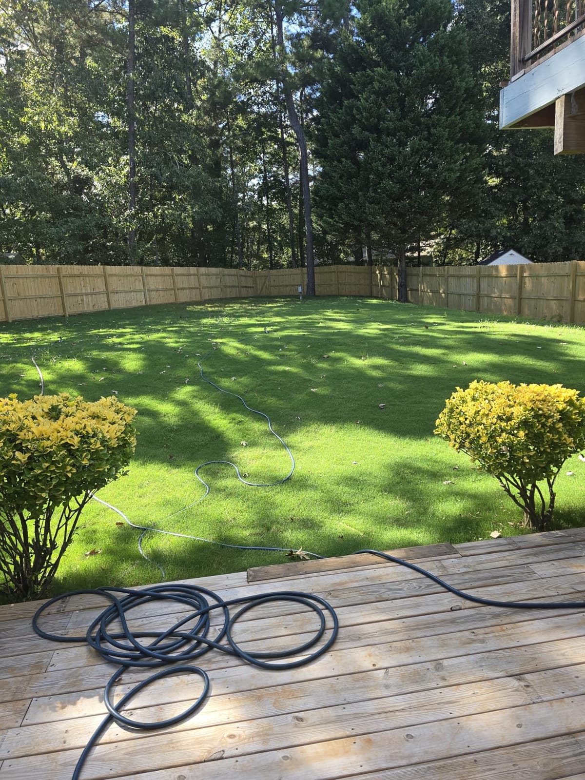 Medina Plus Soil Activator - Liquid Soil Loosener for Lawns & Gardens - Micronutrient-Rich Soil Conditioner & Softener - Used with House Plant Fertilizer, Liquid Plant Food for Houseplants - 1 End Qt customer photo 2