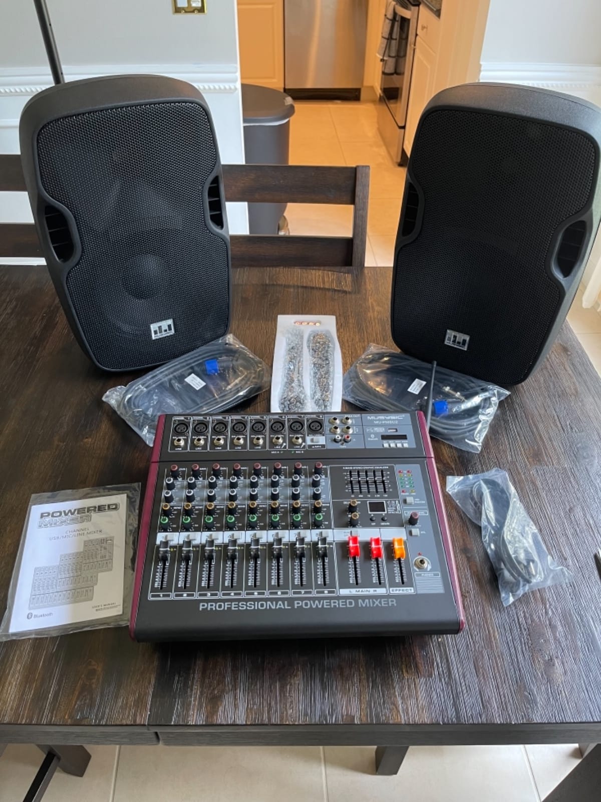 PA System with Wireless Microphone UHF, 10