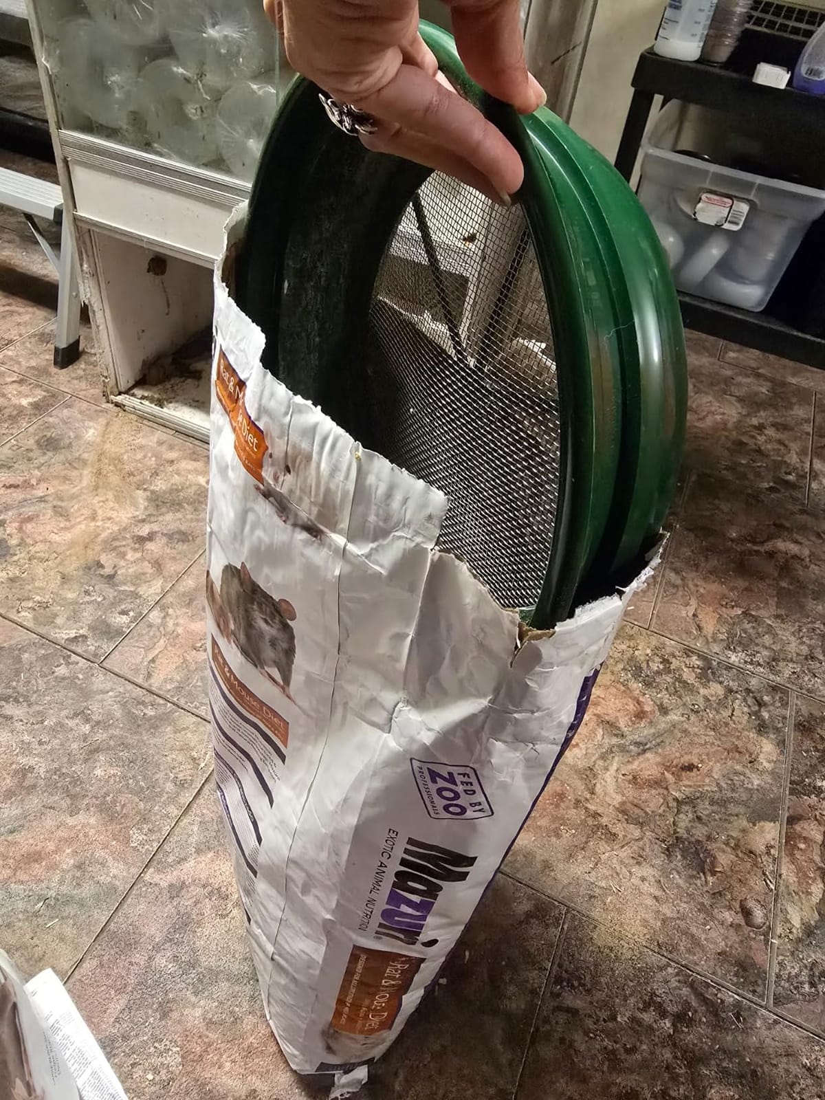 SE 13.25 Inch Wide Stackable Classifier Gold Prospecting Pan - 1/2 Inch Stainless Steel Mesh Sifting Pan, Green customer photo 2