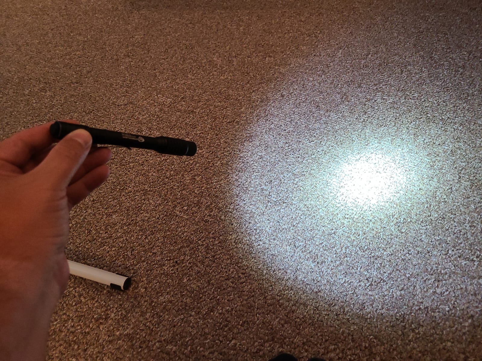 Streamlight 66134 Stylus Pro 350-Lumen Penlight with Holster, Black customer photo 2