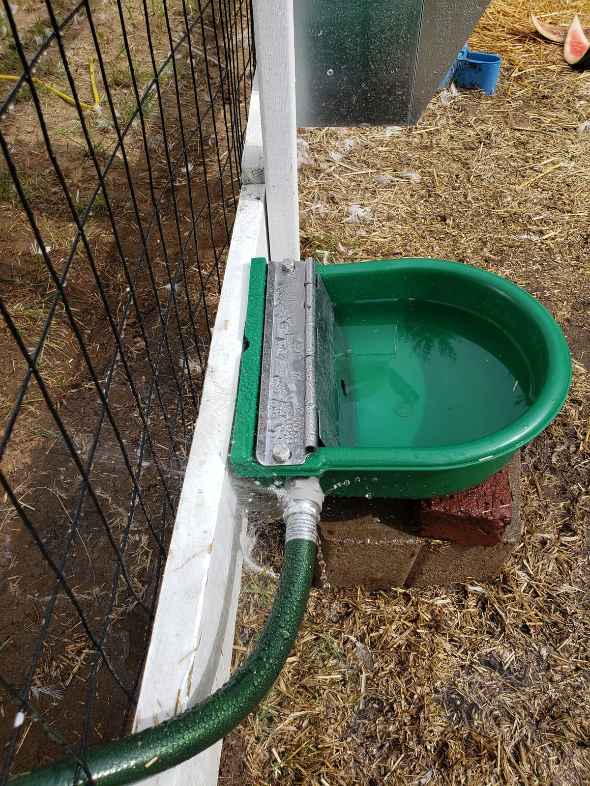 Large Automatic Waterer for Horses, Cows, Goats and Other Live Stock customer photo 1
