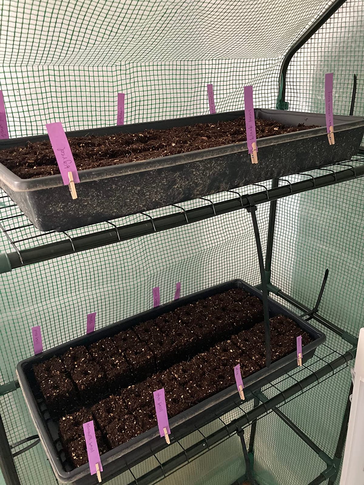Authentic Ladbrooke Mini 4 Soil Blocker — Four 2