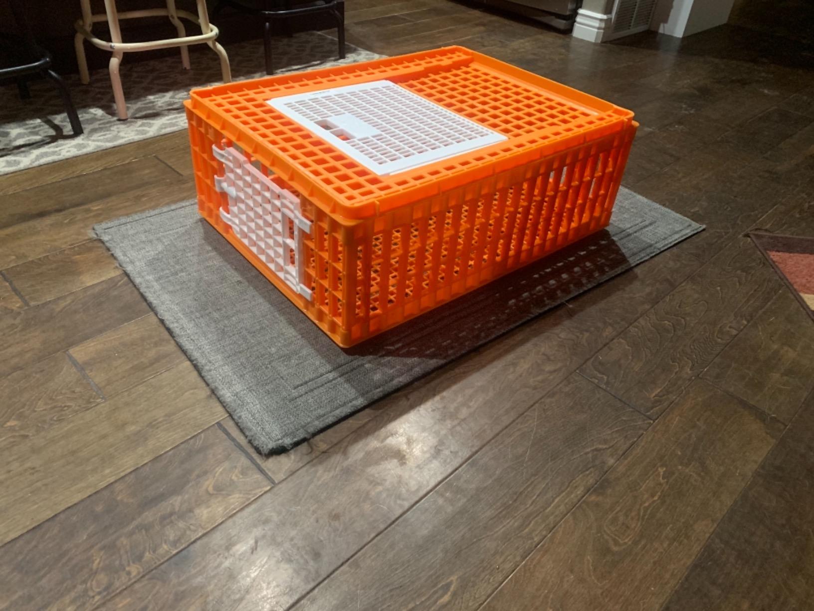 Premier 1 Poultry Carrier Crate customer photo 2