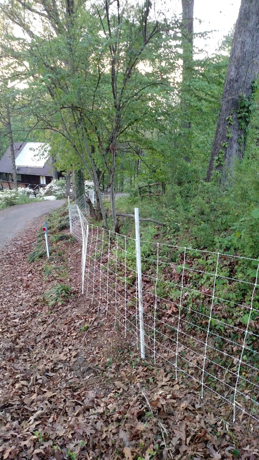 Premier 1 ElectroStop® Single Spike Fence – Sheep & Goats – 42