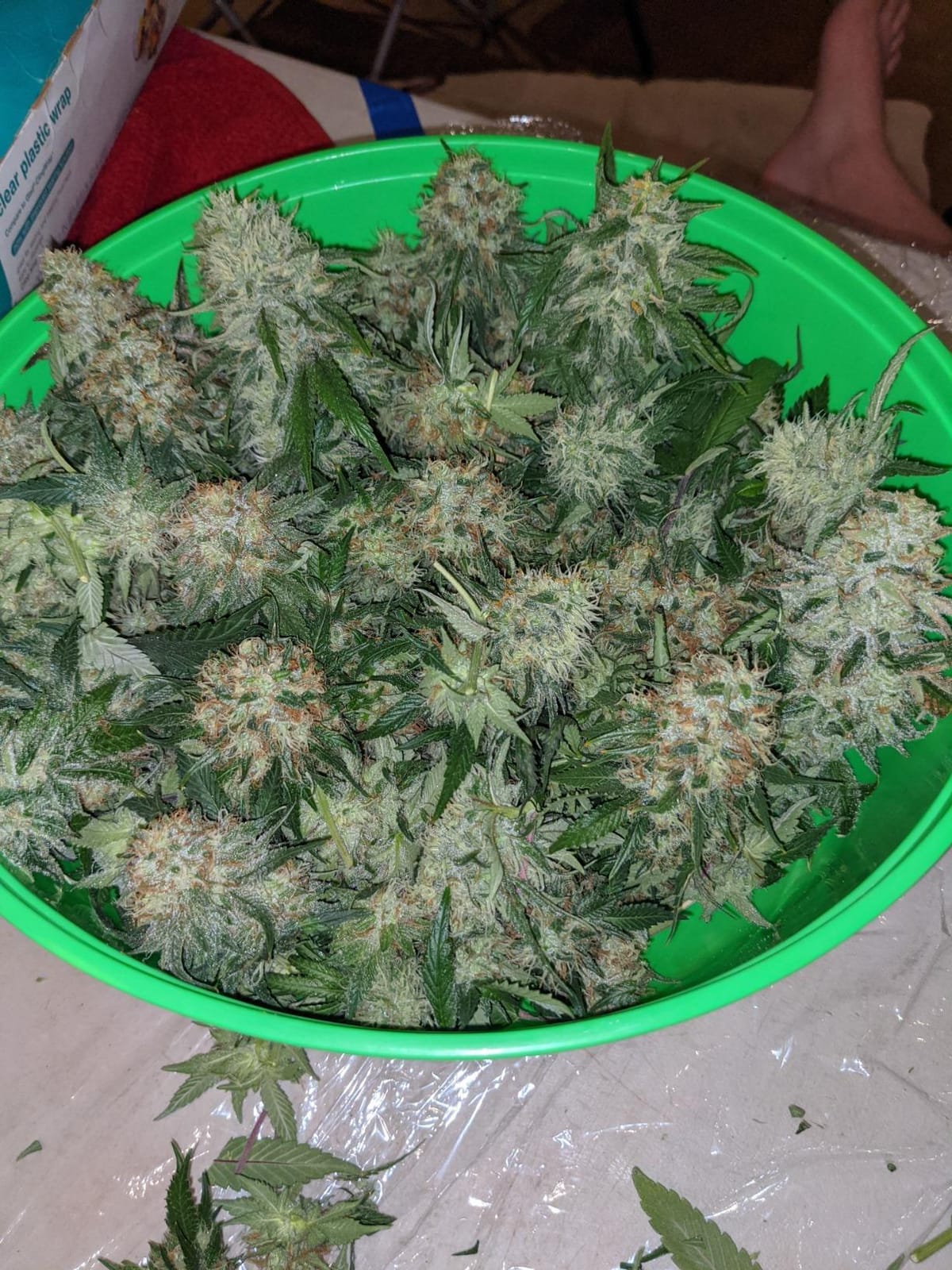 Exhale Homegrown CO2 365 - Self-Activated Bag for Grow Rooms & Tents - Great for Indoor Grow Rooms - 4 lbs customer photo 2