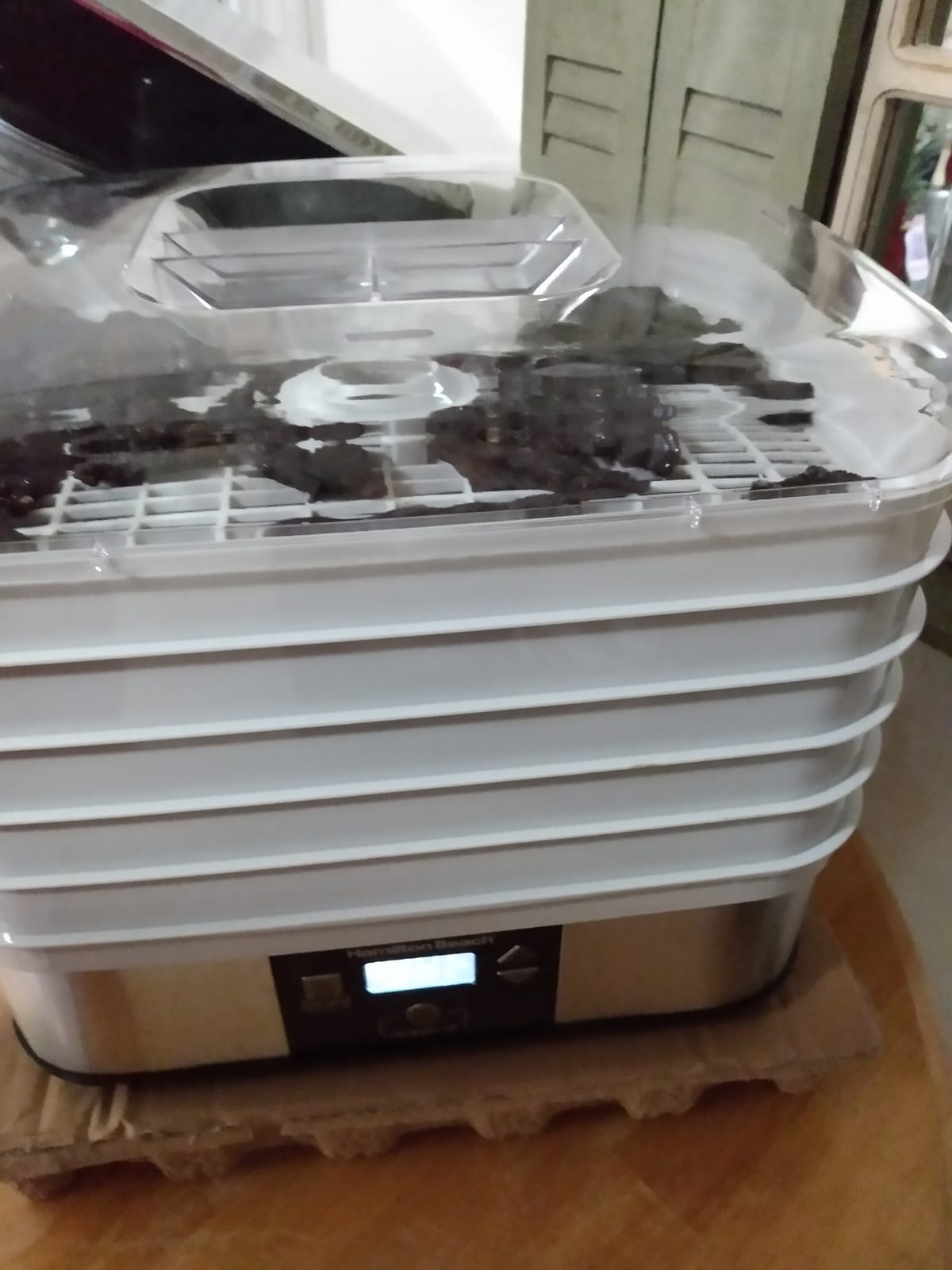 Hamilton Beach Digital Food Dehydrator for Fruit, Jerky, Vegetables & More customer photo 1