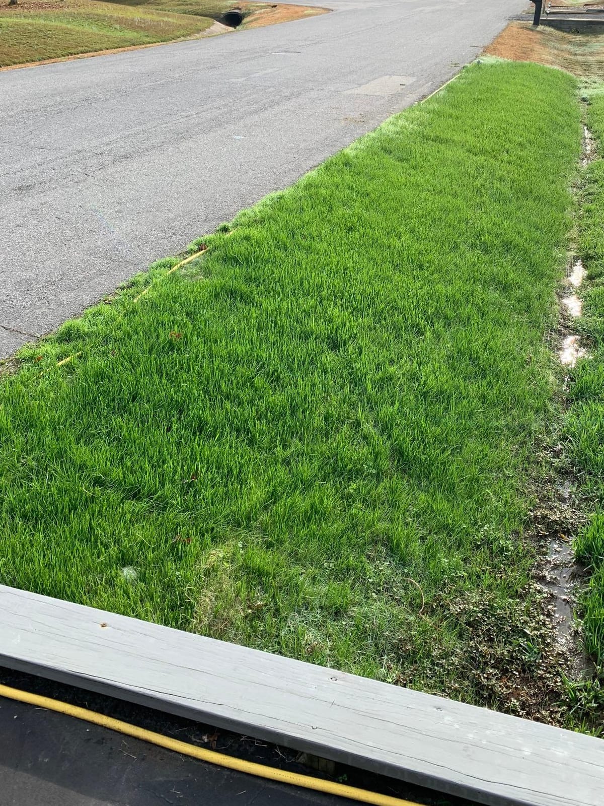 Dewitt Single Net Excelsior Erosion Control Blanket, 4x112.5 Ft, Green customer photo 2