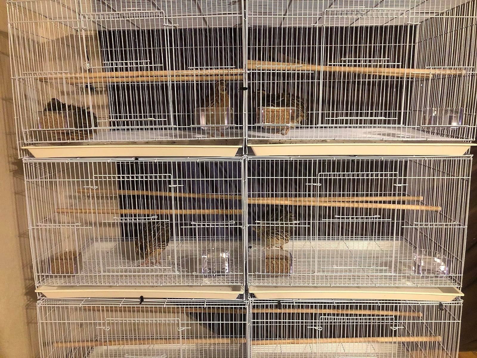 Small Breeding Cages, Pack of 6, 24 x 16 x 16 H inches, White customer photo 1