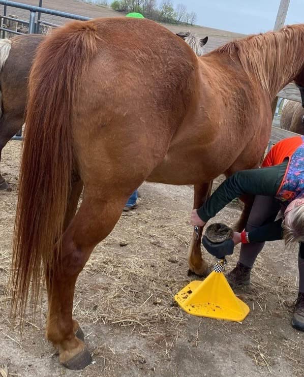 Hoof-It Blacksmith Farrier Horse Hoof Stand - Green customer photo 1