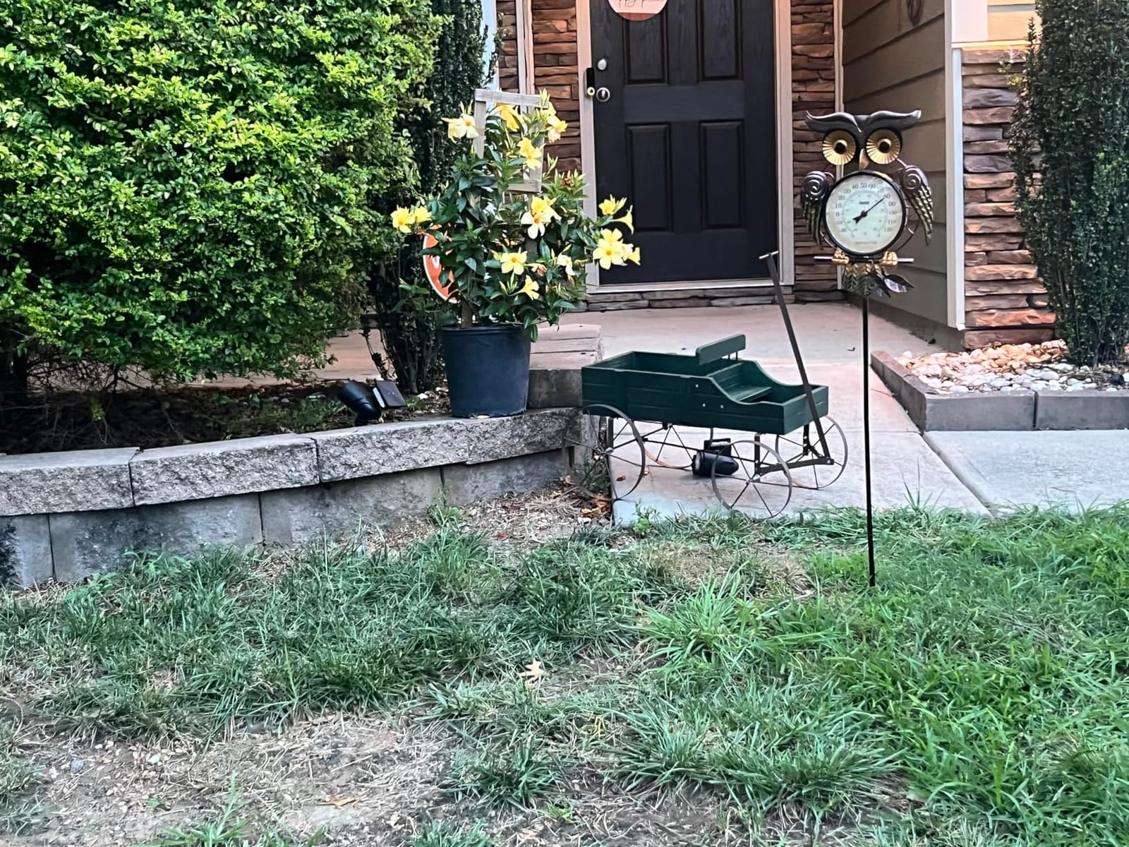 Collections Etc Amish Wagon Decorative Indoor/Outdoor Garden Backyard Planter, Green customer photo 2