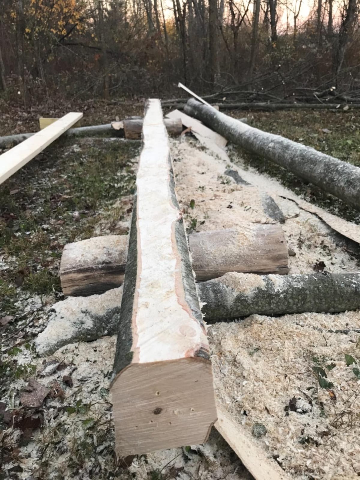 Timber Tuff Portable Steel Lumber Cutting Guide for Chainsaw Plank Milling customer photo 2