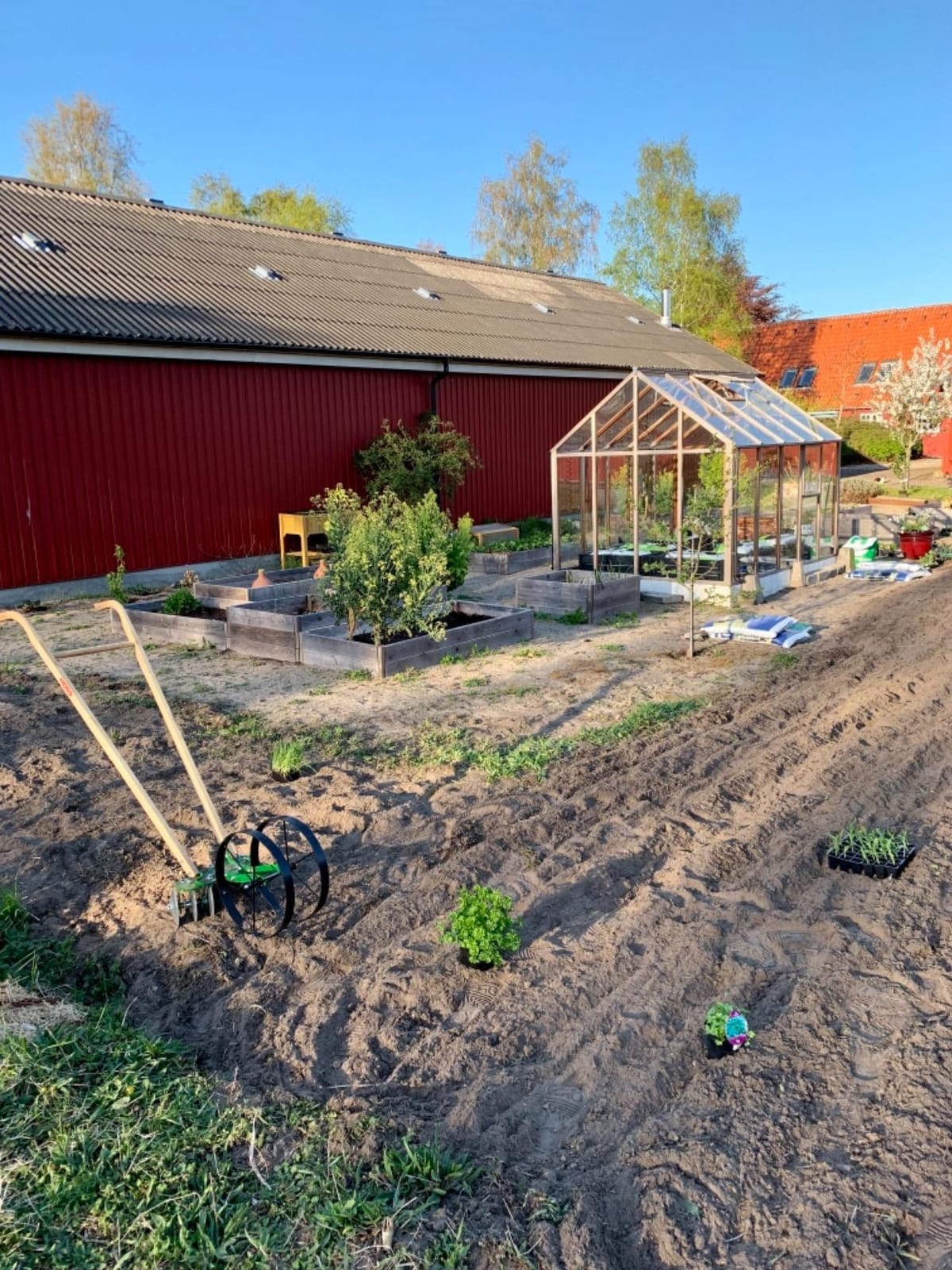 Hoss Disk Harrow Attachment customer photo 2