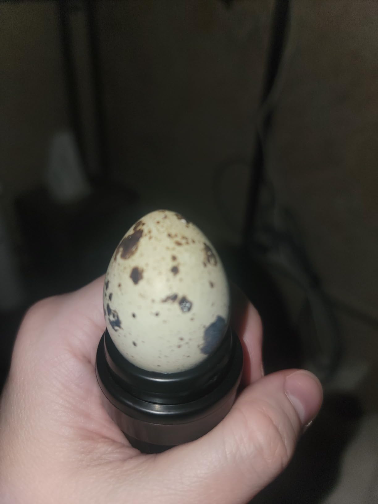 Magicfly Rechargeable Egg Candler Tester for Monitoring Eggs Development, Bright Cool LED Light Candling Lamp customer photo 2