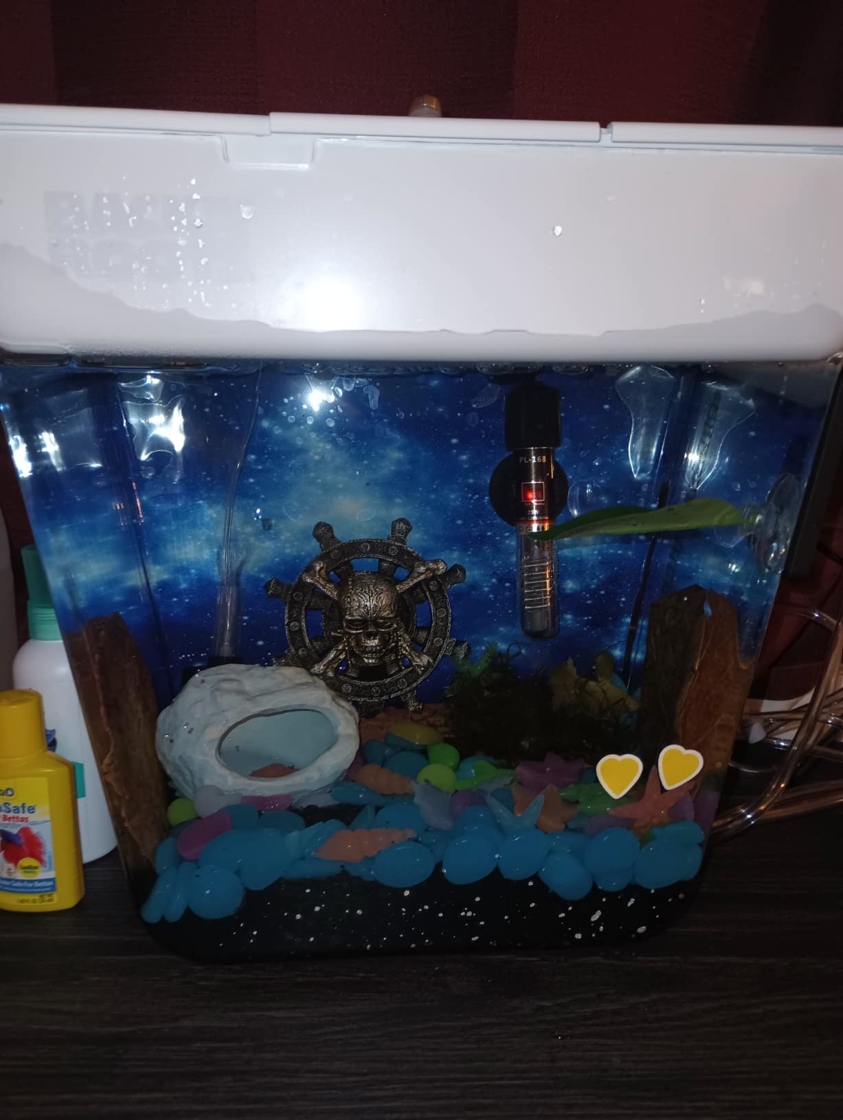 Back to the Roots Indoor Aquaponic Garden - 3 Gallon Self Watering, Mess-Free Planter and Self-Cleaning Fishtank for Herbs, Microgreens, Bamboo, Succulents, and Houseplants, support Fish customer photo 1