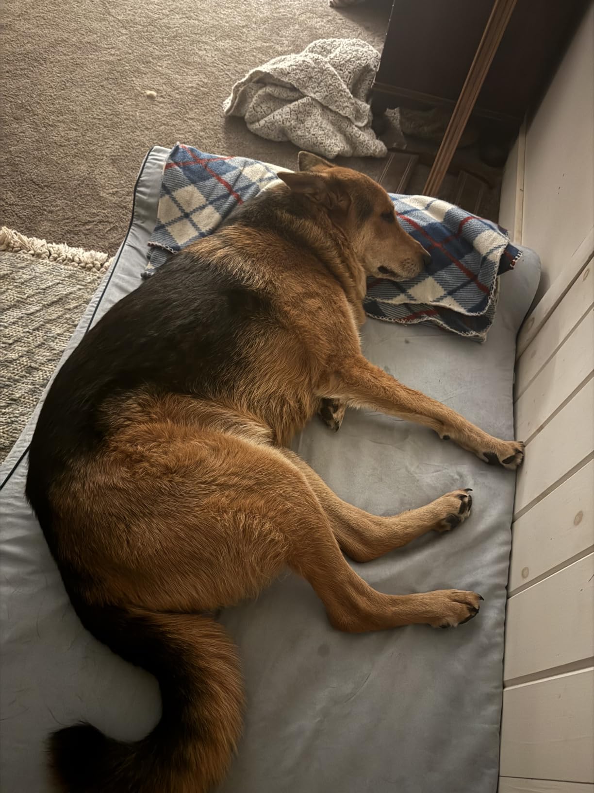 KOPEKS Orthopedic Memory Foam Dog Bed 7