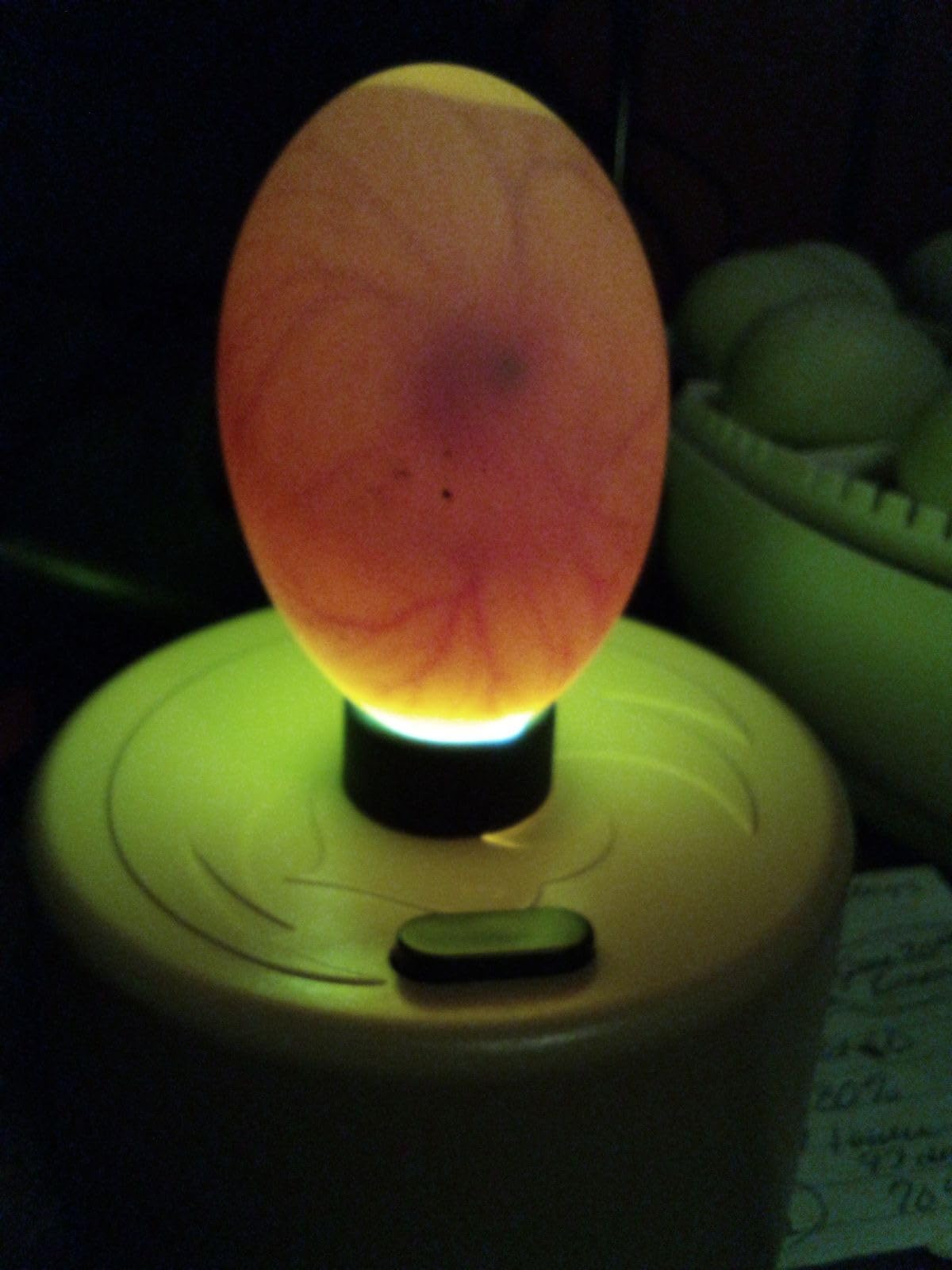 Titan Incubators High Intensity LED Chicken Egg Candler/Tester – Battery Powered customer photo 1