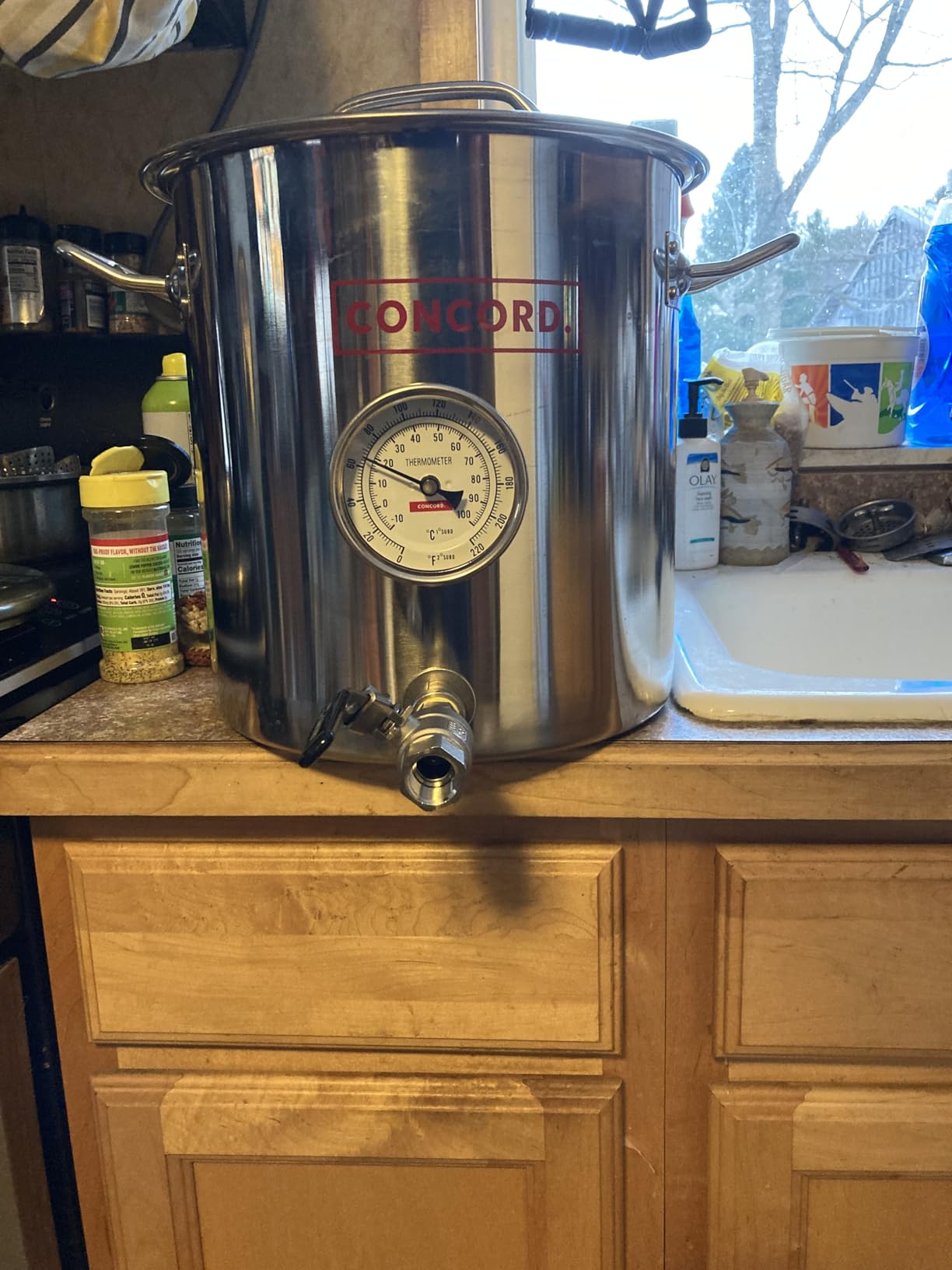 CONCORD Stainless Steel Home Brew Kettle Stock Pot (Weldless Fittings) (100 QT/ 25 Gal) customer photo 1