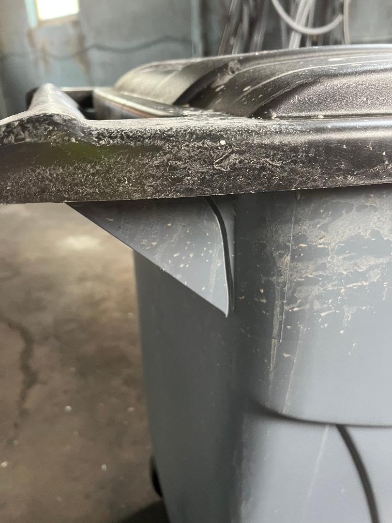 Rubbermaid Commercial Products Brute Rollout Trash/Garbage Can/Bin with Wheels, 32 GAL, Gray, for Restaurants/Hospitals/Offices/Back of House/Warehouses/Home customer photo 1